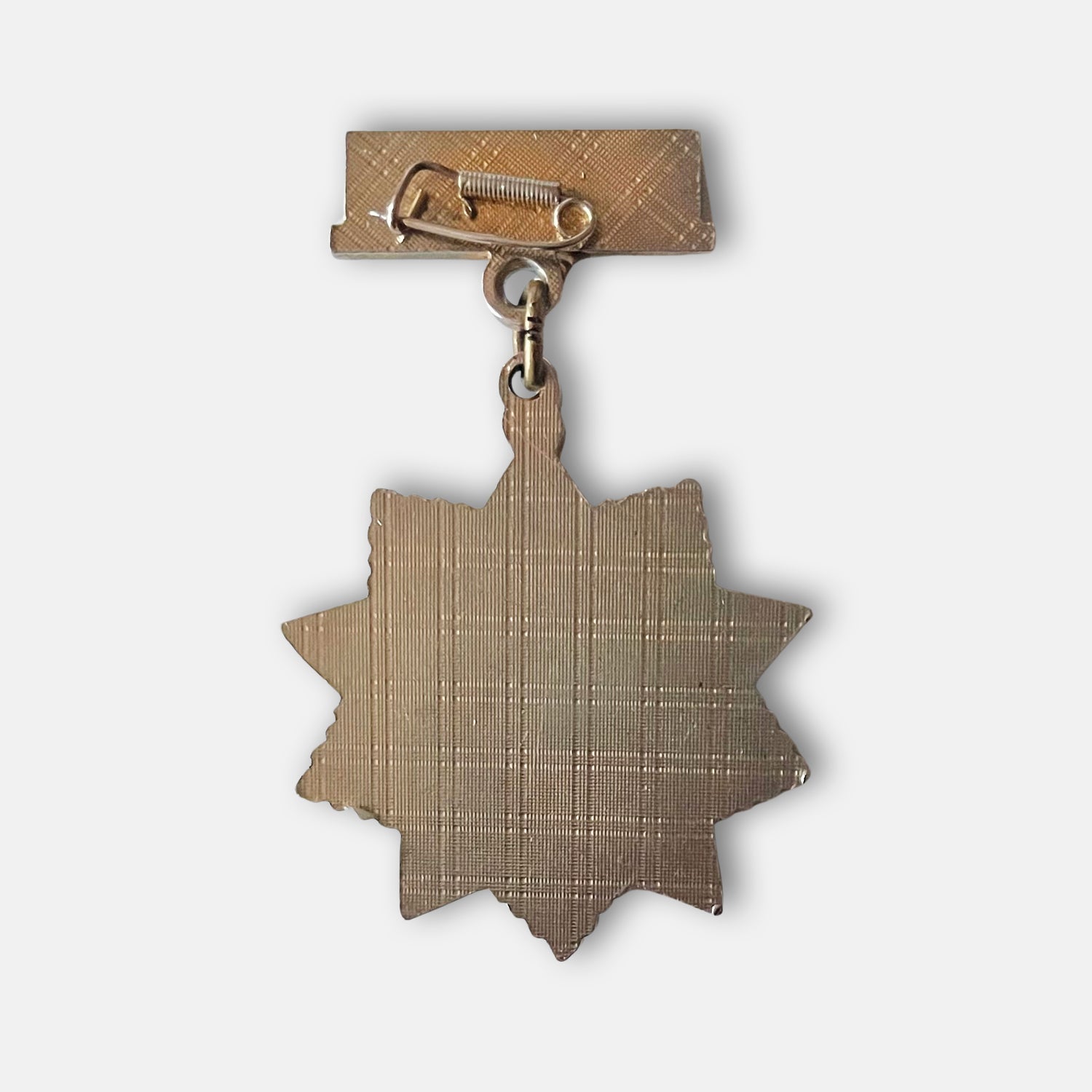 Youth Federation The Glory Of Labor Badge