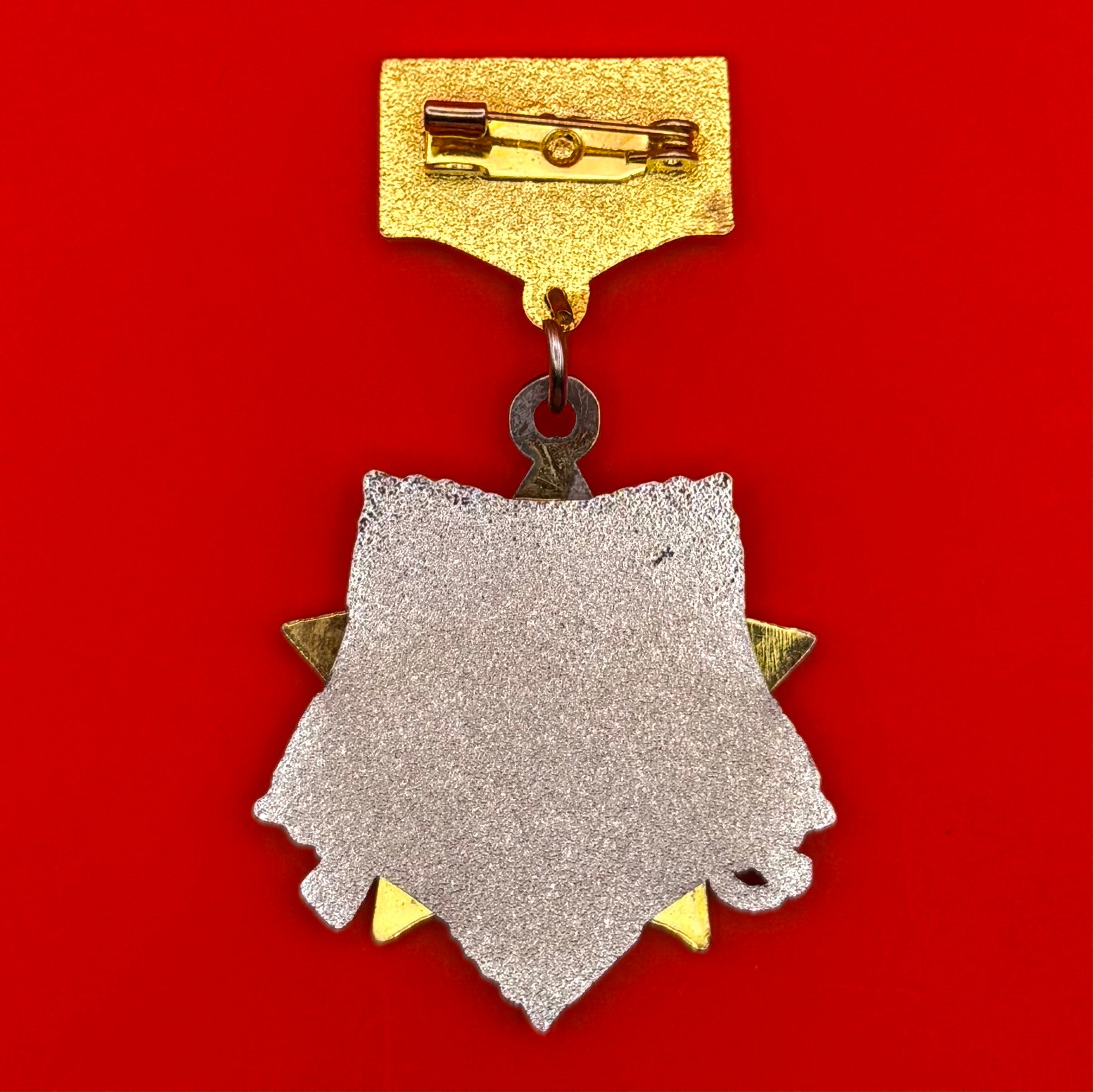 2019 Mongolia Victory Of Khalkhin Gol 80th Anniversary Medal