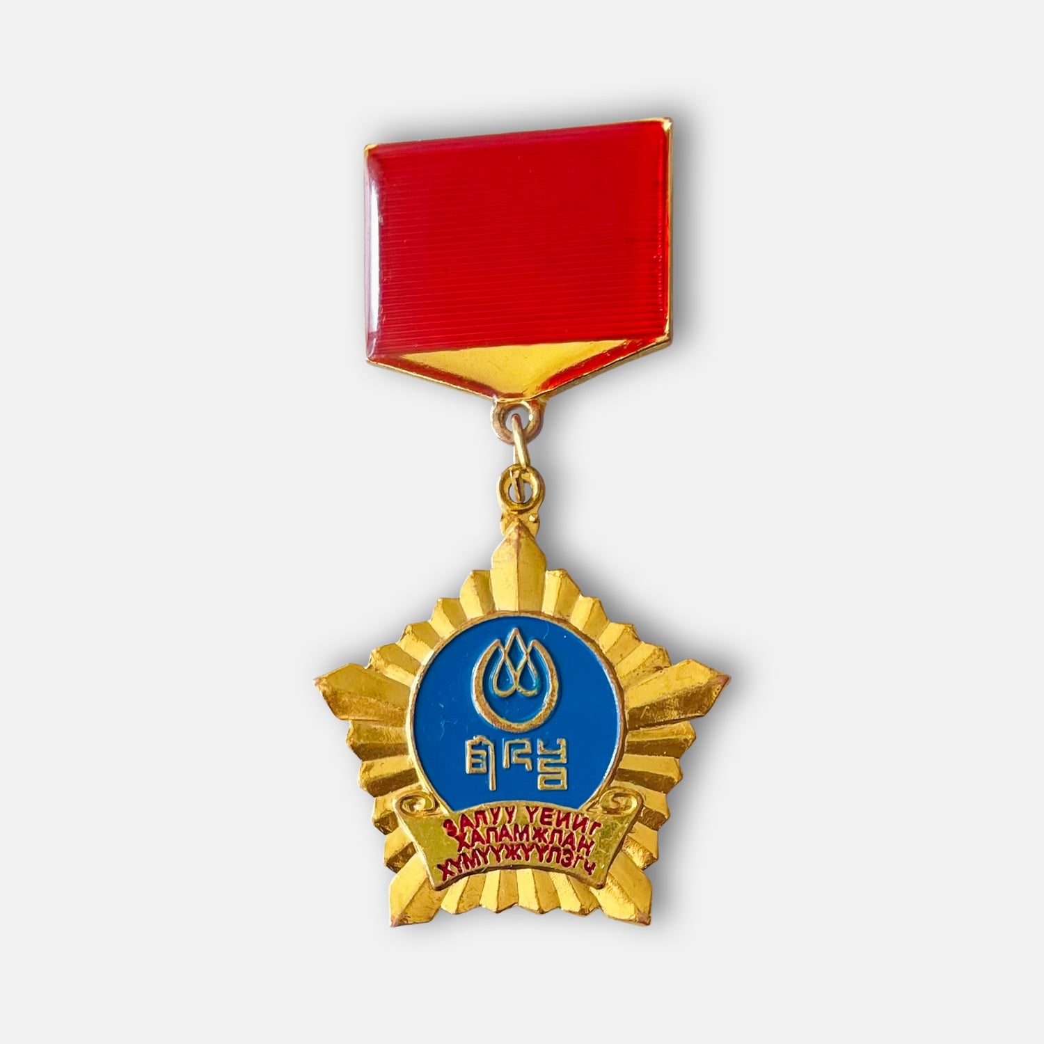 Youth Federation Nurturer Of The Youth Badge