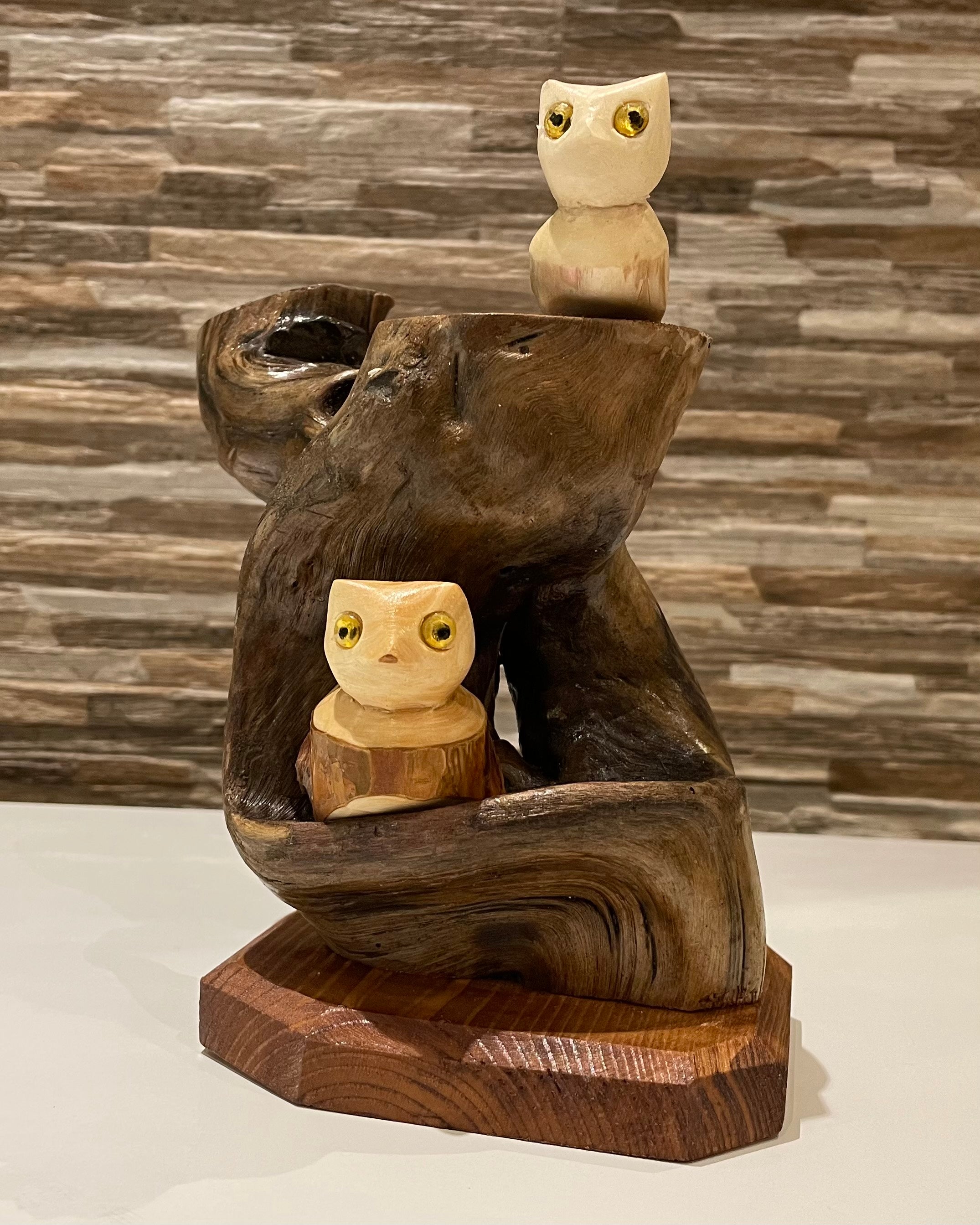Uncommon Growth Of Natural Tree Brings Good Luck With Owl Decoration