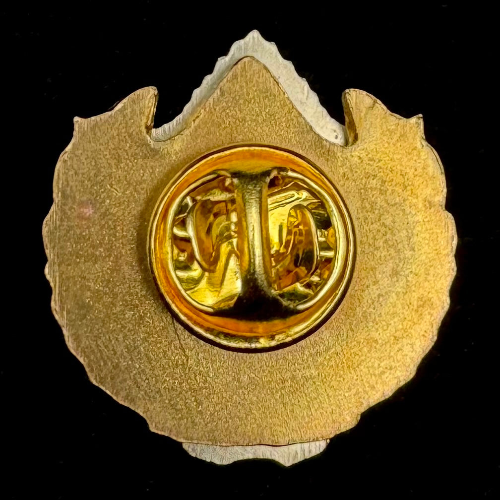 Russian SVR Foreign Intelligence Academy “Best Specialist” Badge – Rare Original Issue