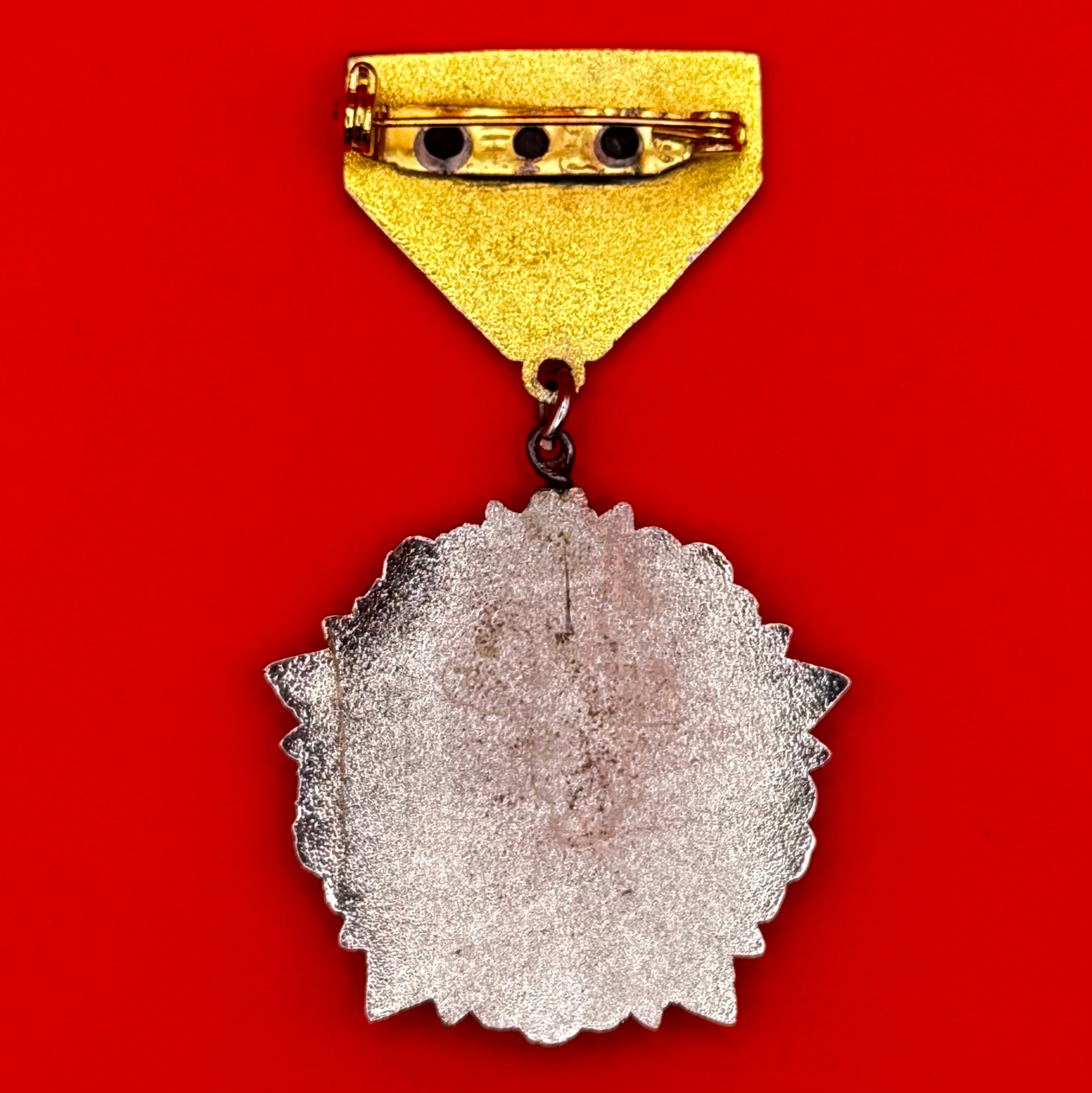 Mongolian Border Guard Honorary Badge Scarce Variation