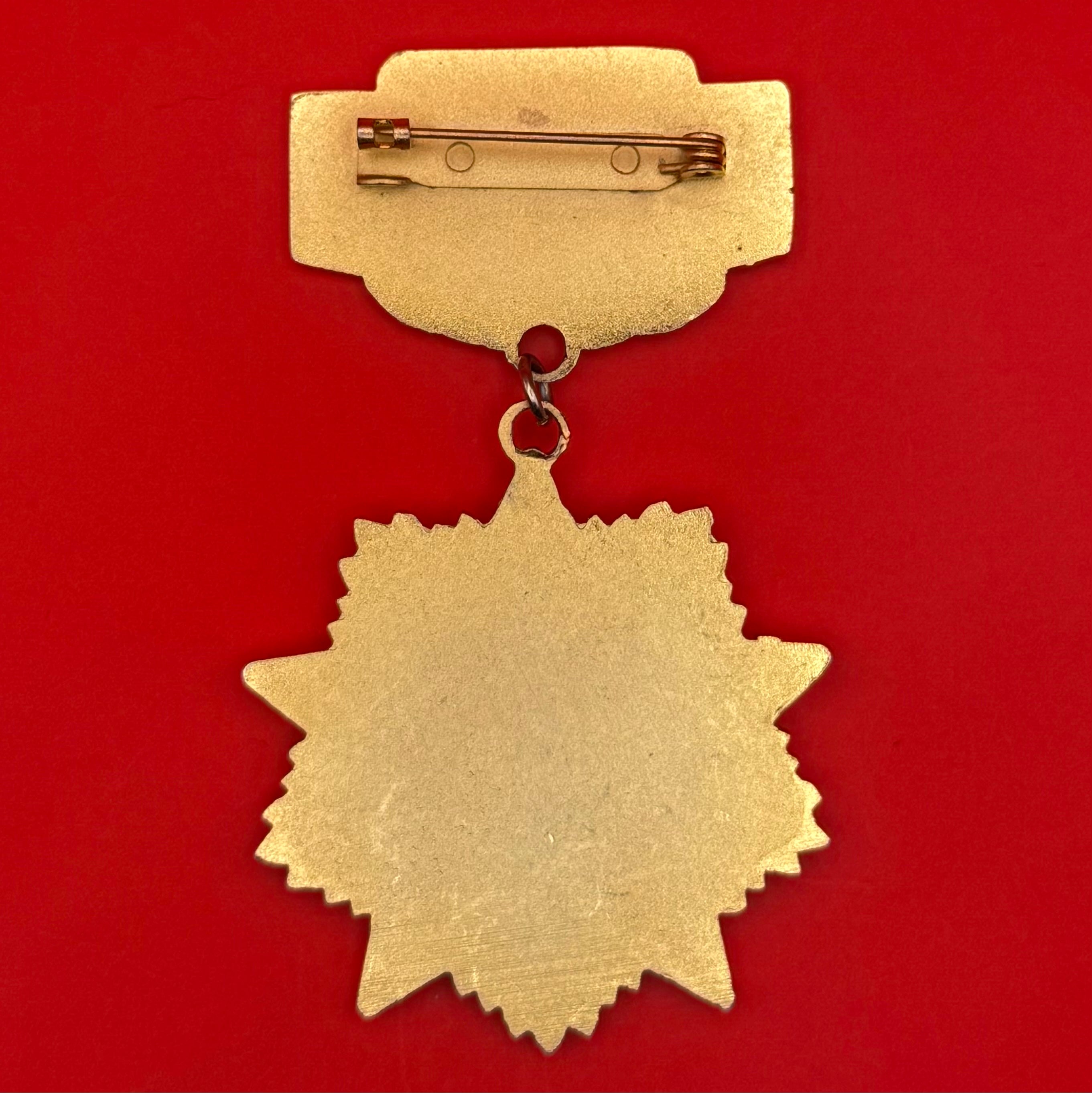 Mongolian Defense Assistance 70th Anniversary Medal