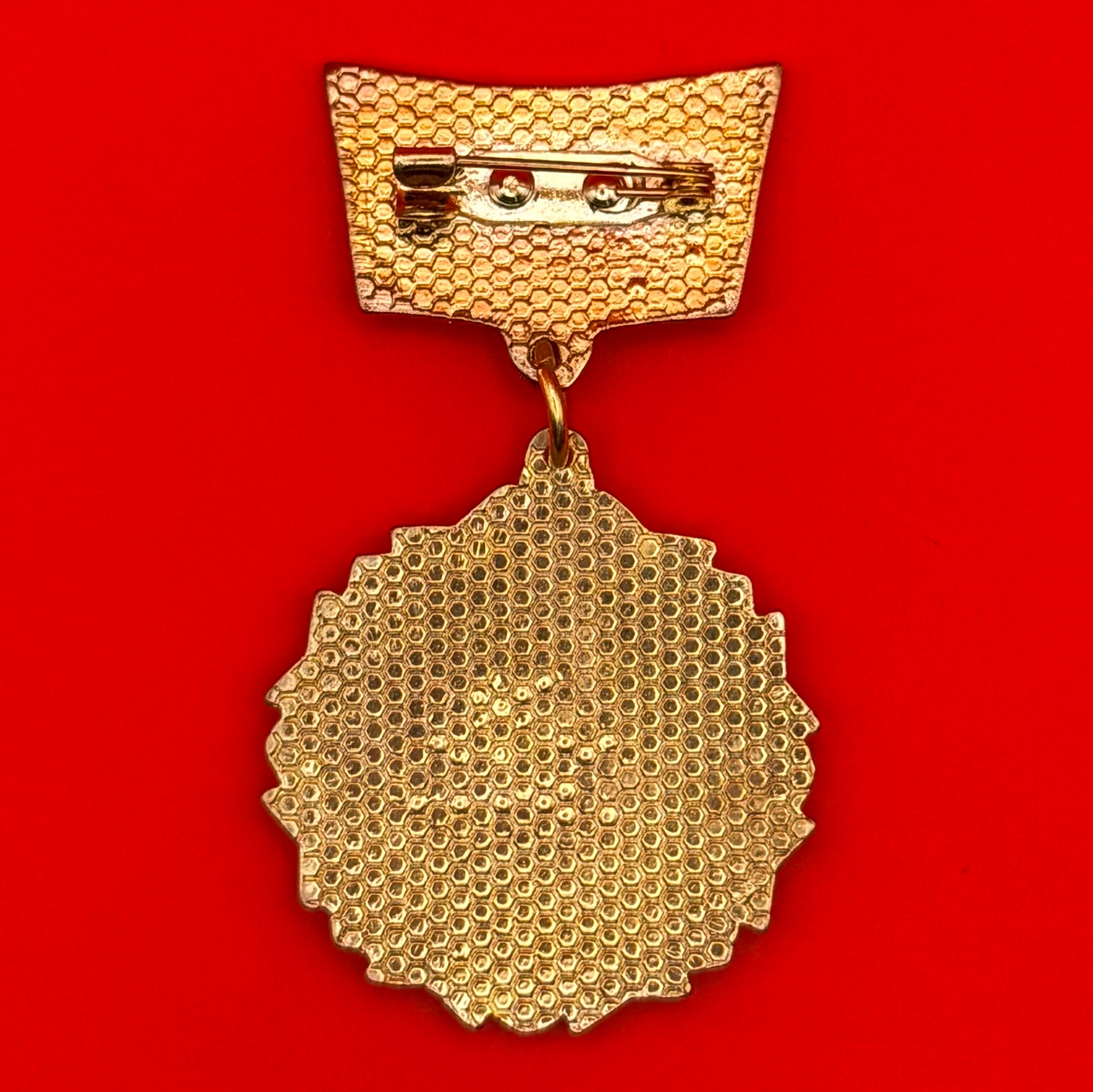 Mongolian Ministry Of Education Honored Employee Badge