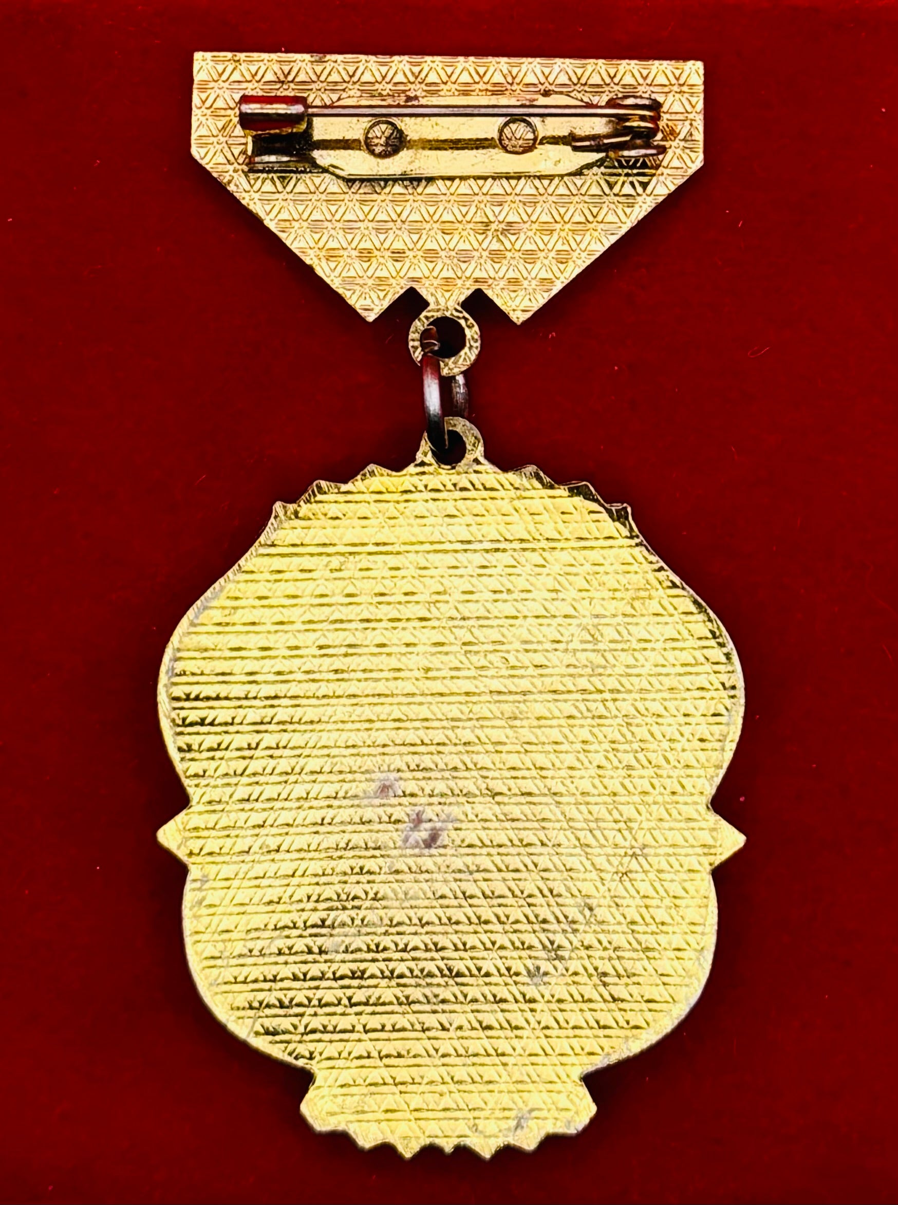 Mongolian Army Veteran Honorary Badge
