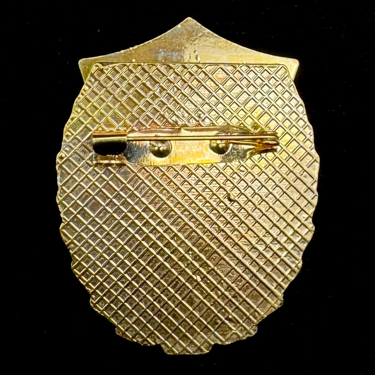 1933–2023 Mongolian Border Guard 90th Anniversary Badge – Official Issue