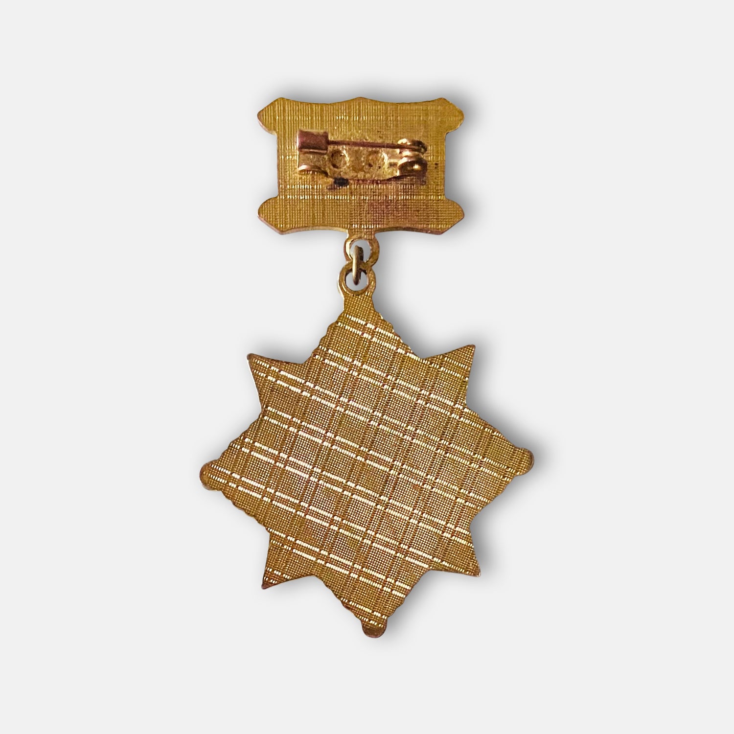 Mongolian Border Guard 0288th Unit Honorary Badge