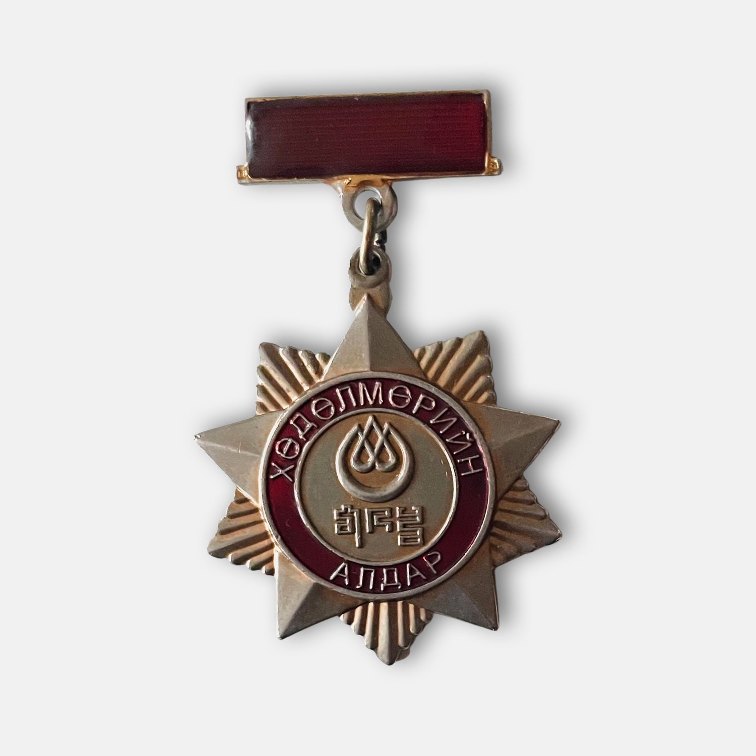 Youth Federation The Glory Of Labor Badge
