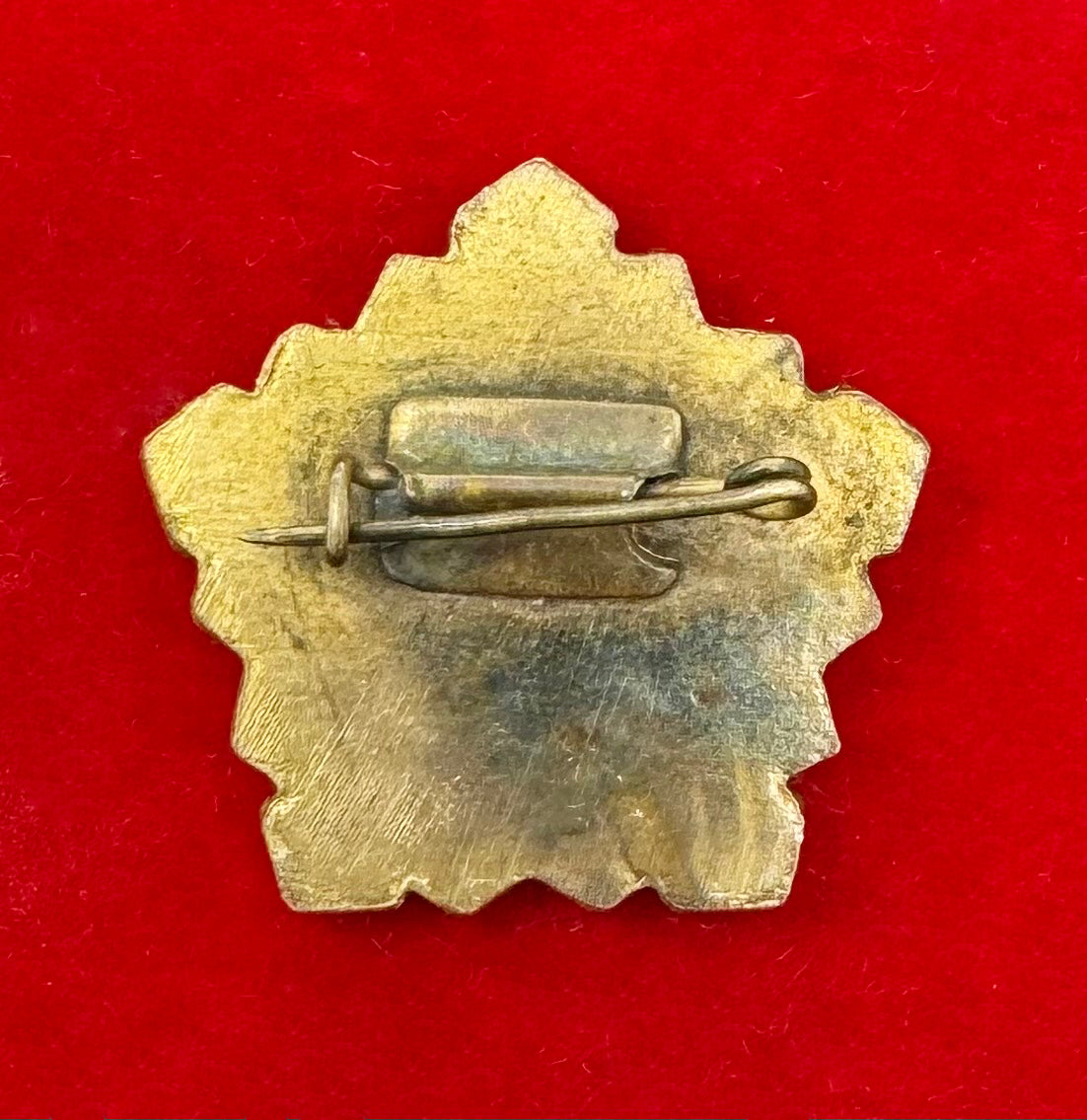 1970s Mongolian Judiciary Service Pin Badge