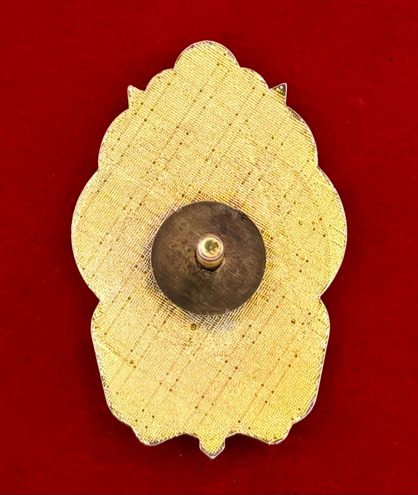 Agricultural Bank Outstanding Employee Badge