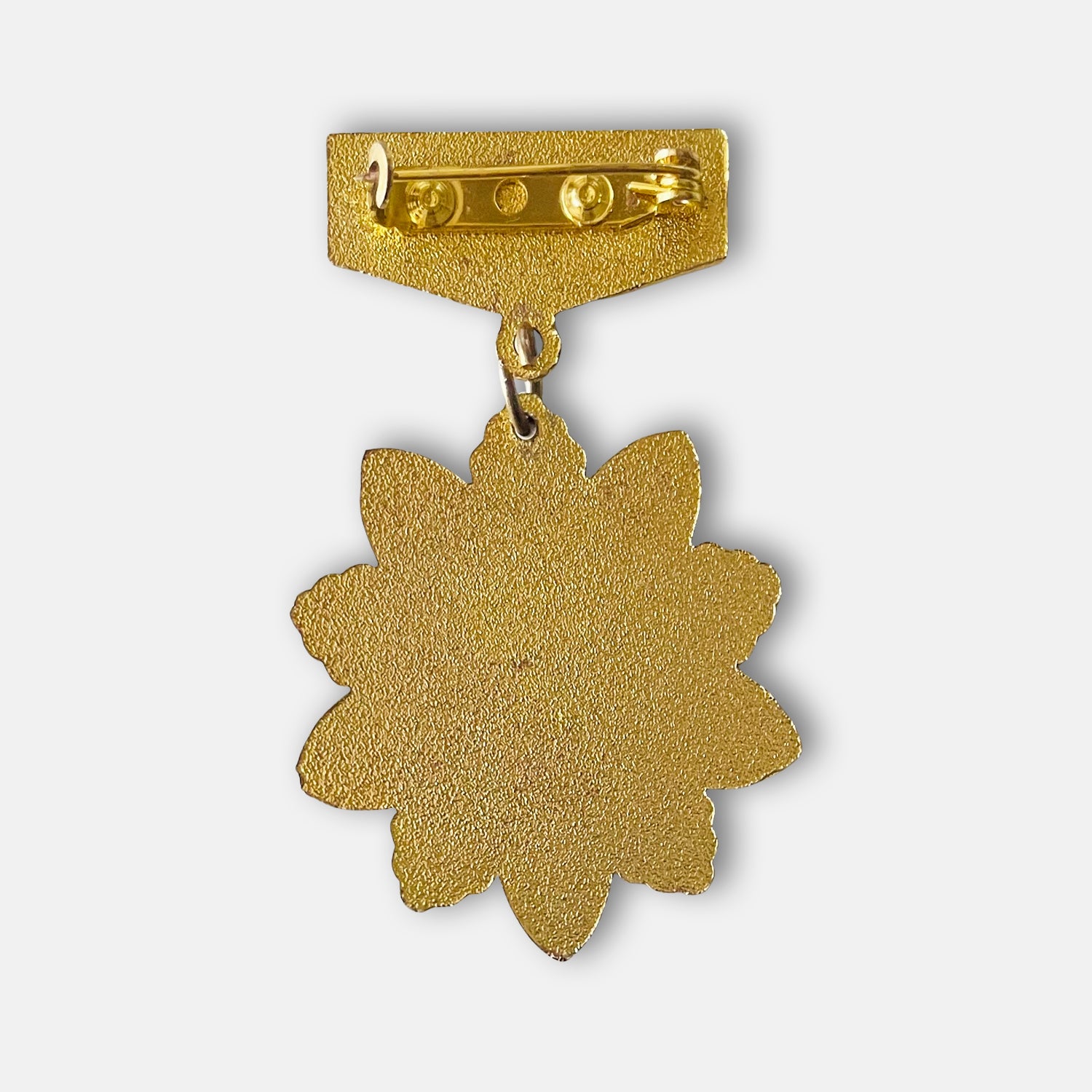 Mongolian Border Guard 0198th Unit 80th Anniversary Badge