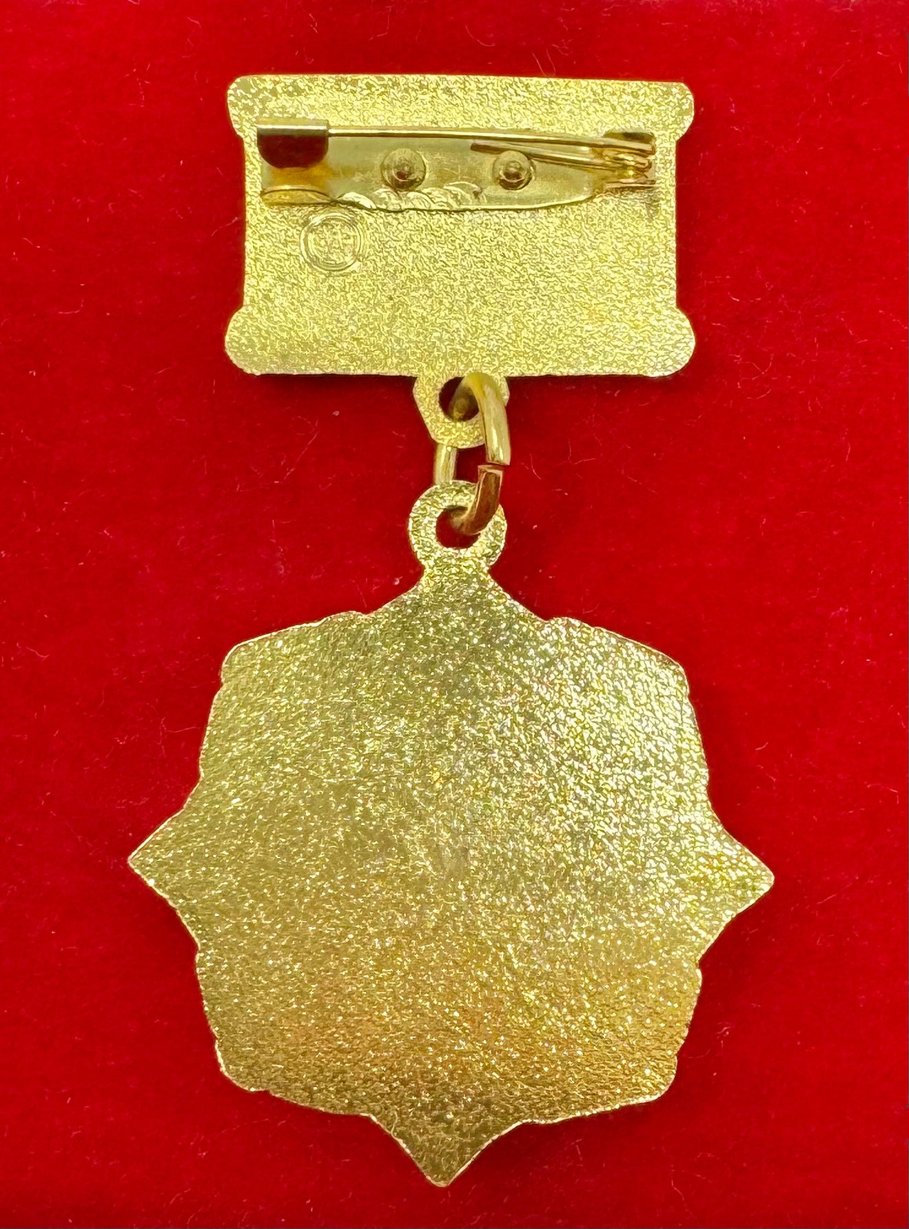 Mongolian Police Senior Association 50th Anniversary Badge