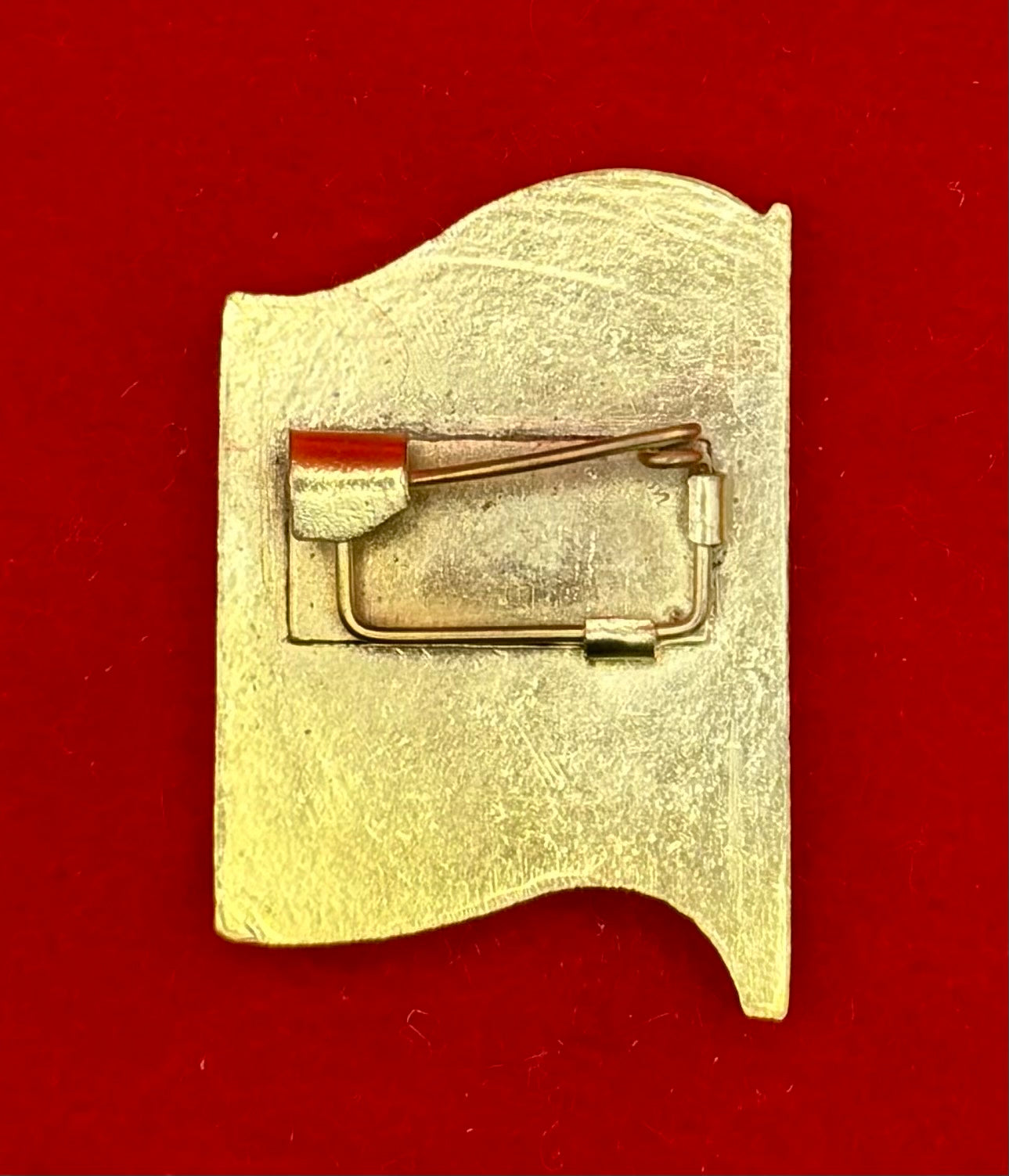 1981 Revolutionary Party XVIII Congress Badge