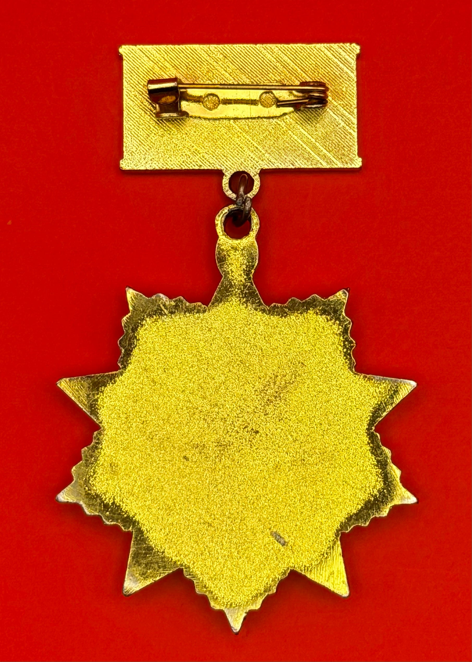 Mongolian Specialized Investigation 100th Anniversary Badge