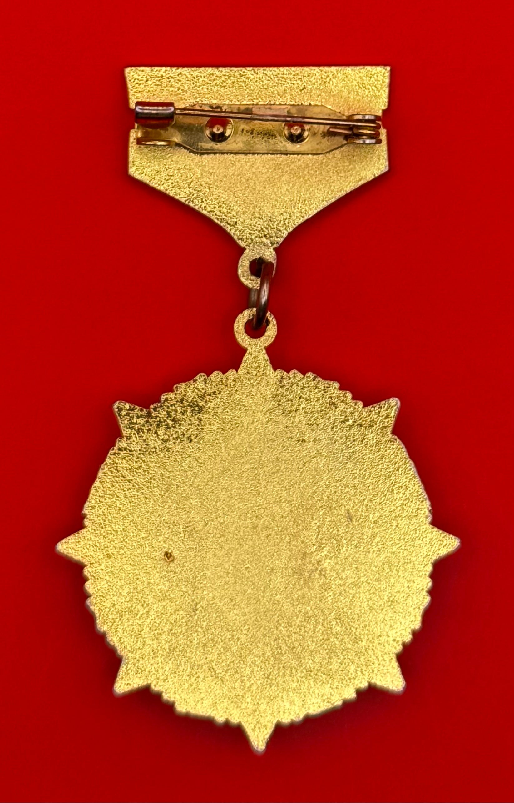 Mongolian Senior Border Guard Honorary Badge