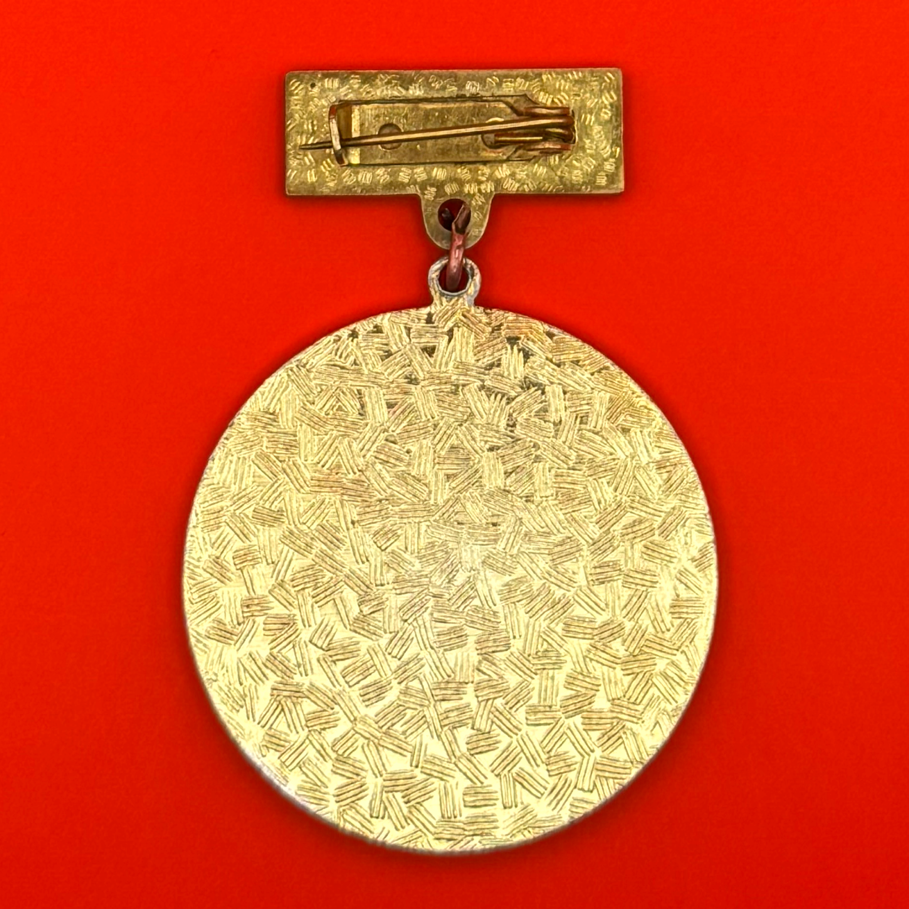 1989 Mongolian Red Cross 50th Anniversary Badge