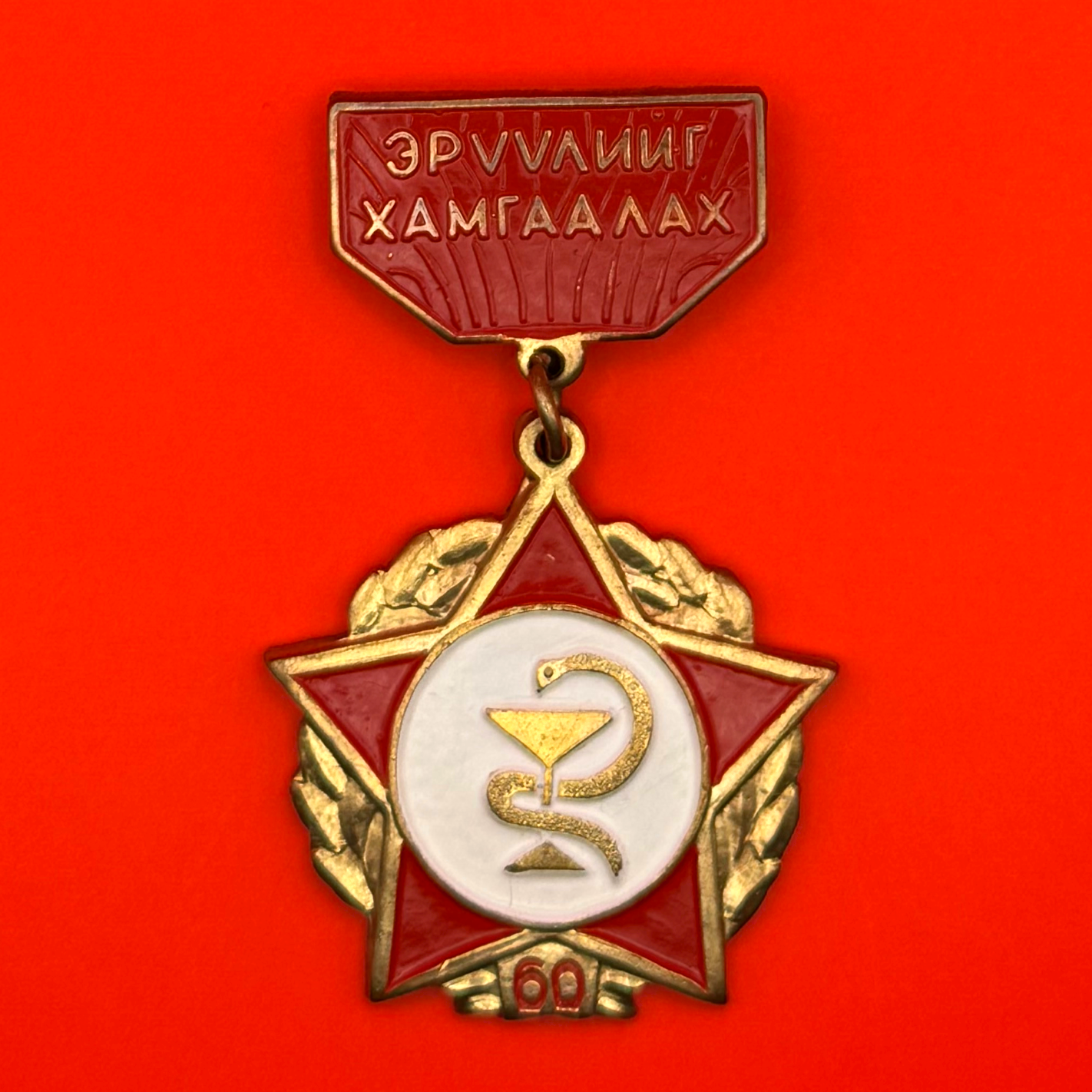 1985 Healthcare Sector 60th Anniversary Badge