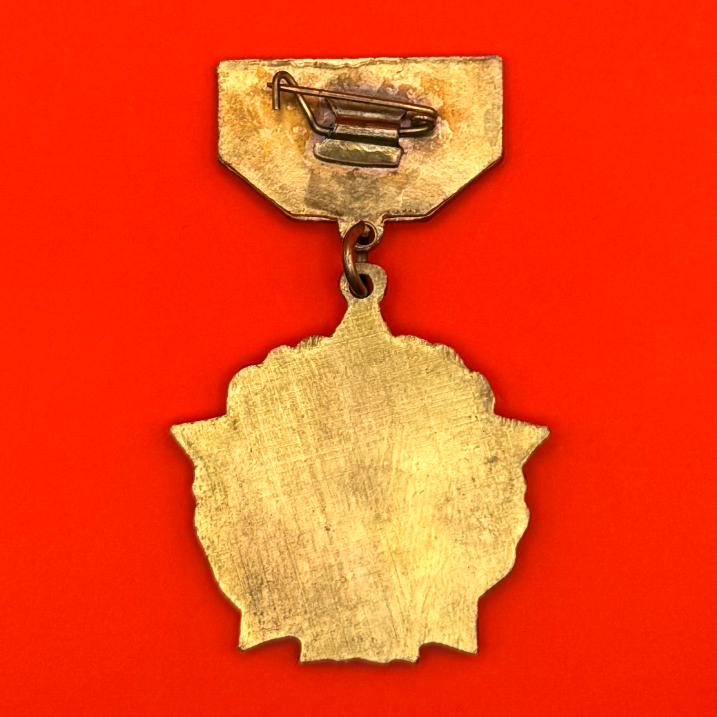 1985 Healthcare Sector 60th Anniversary Badge