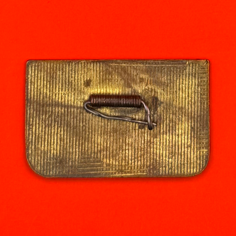 1960s Mongolian Red Cross Always Ready For Hygiene Protection Badge