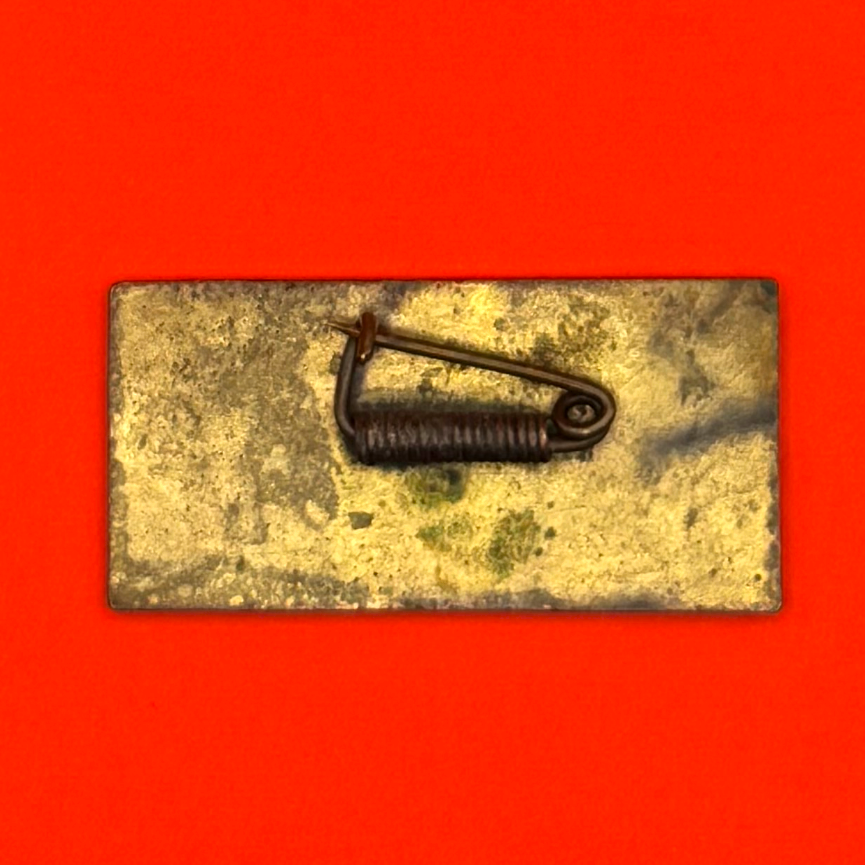 1970s Mongolian Red Cross Hygiene & Sanitation Activist Badge