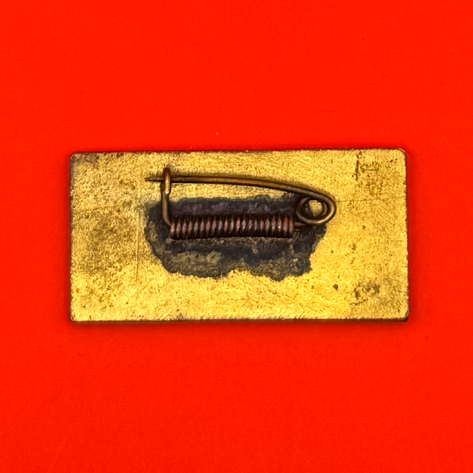 1960 Healthcare Sector 35th Anniversary Badge