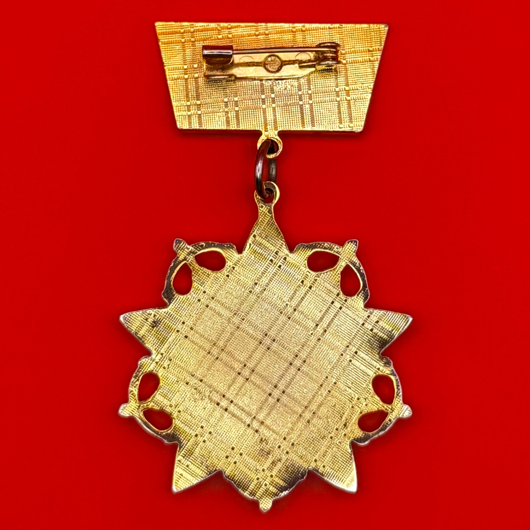 Mongolian Army Glory Of Warrior 1st Class Medal
