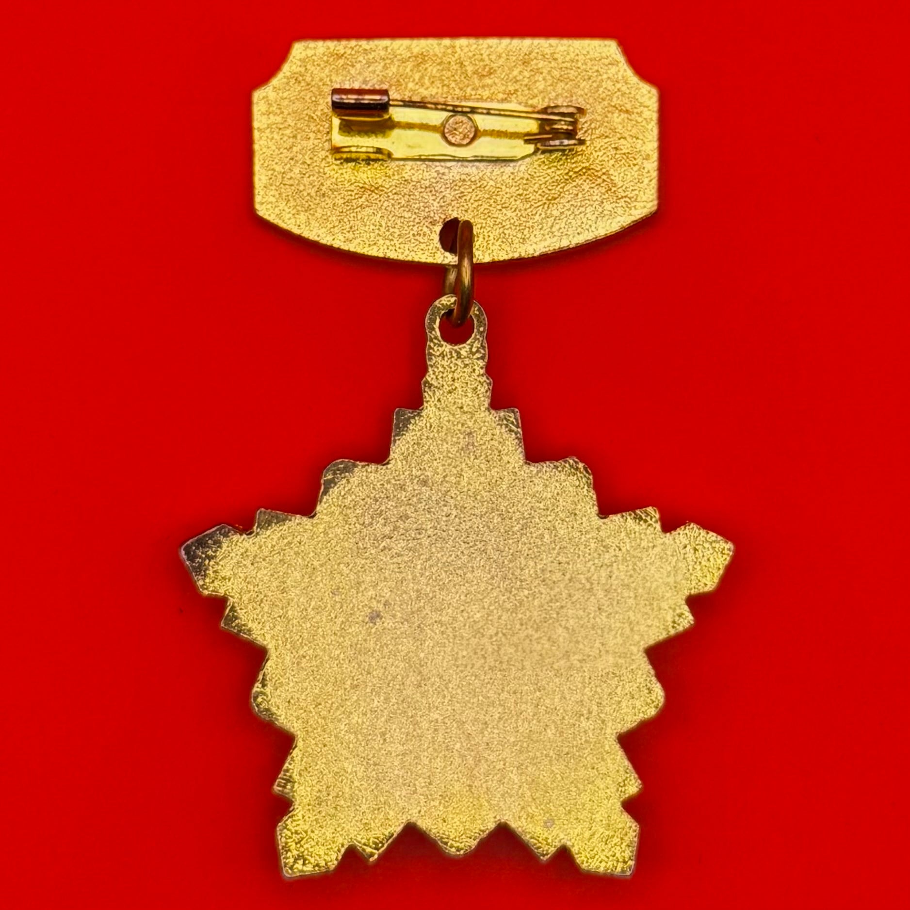 Mongolian Border Guard 0151st Unit Honorary Badge