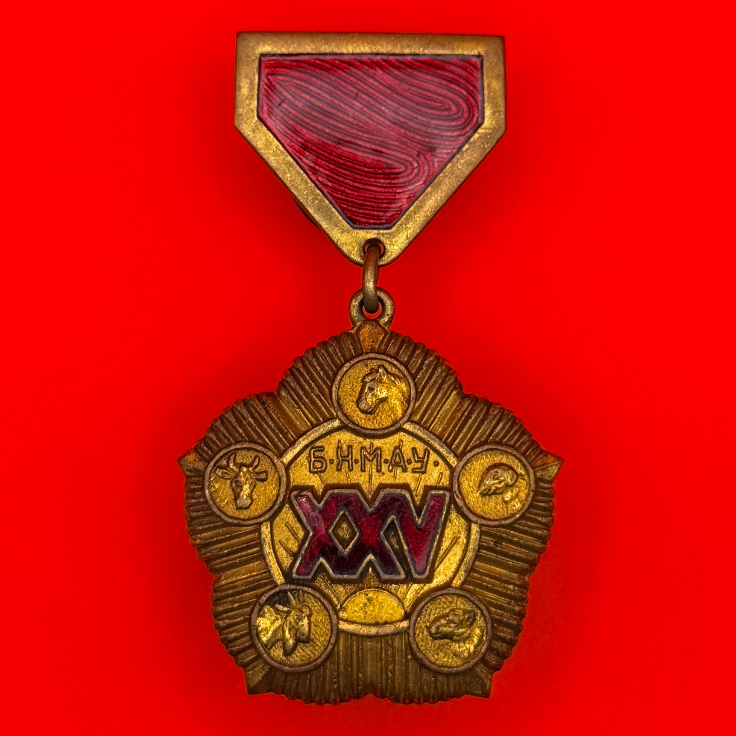 1946 People's Revolution 25th Anniversary Medal – Low Serial No. #289