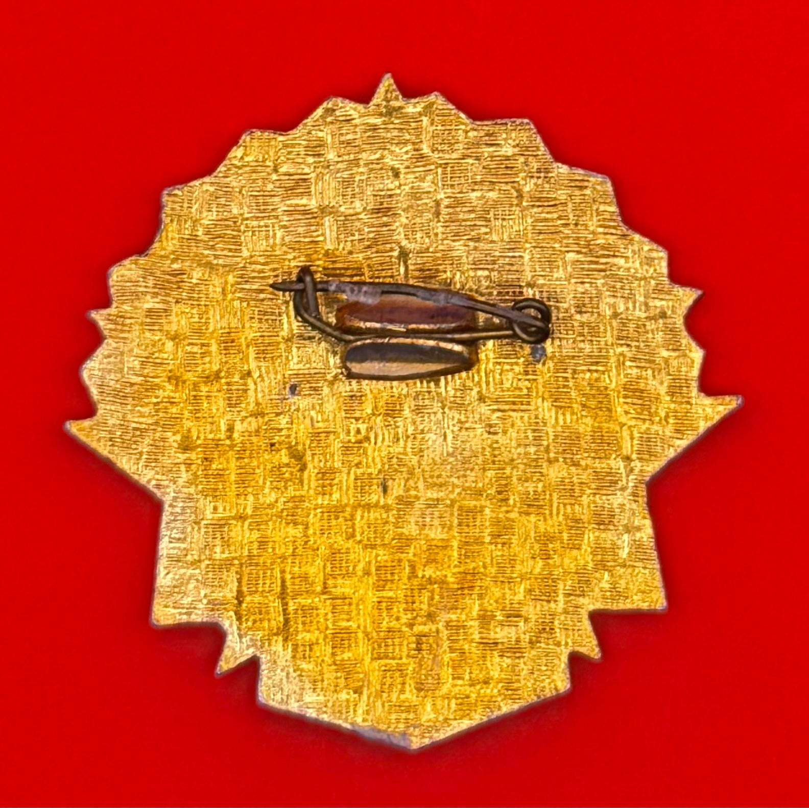 For Success In Border Defense 1st Class Badge
