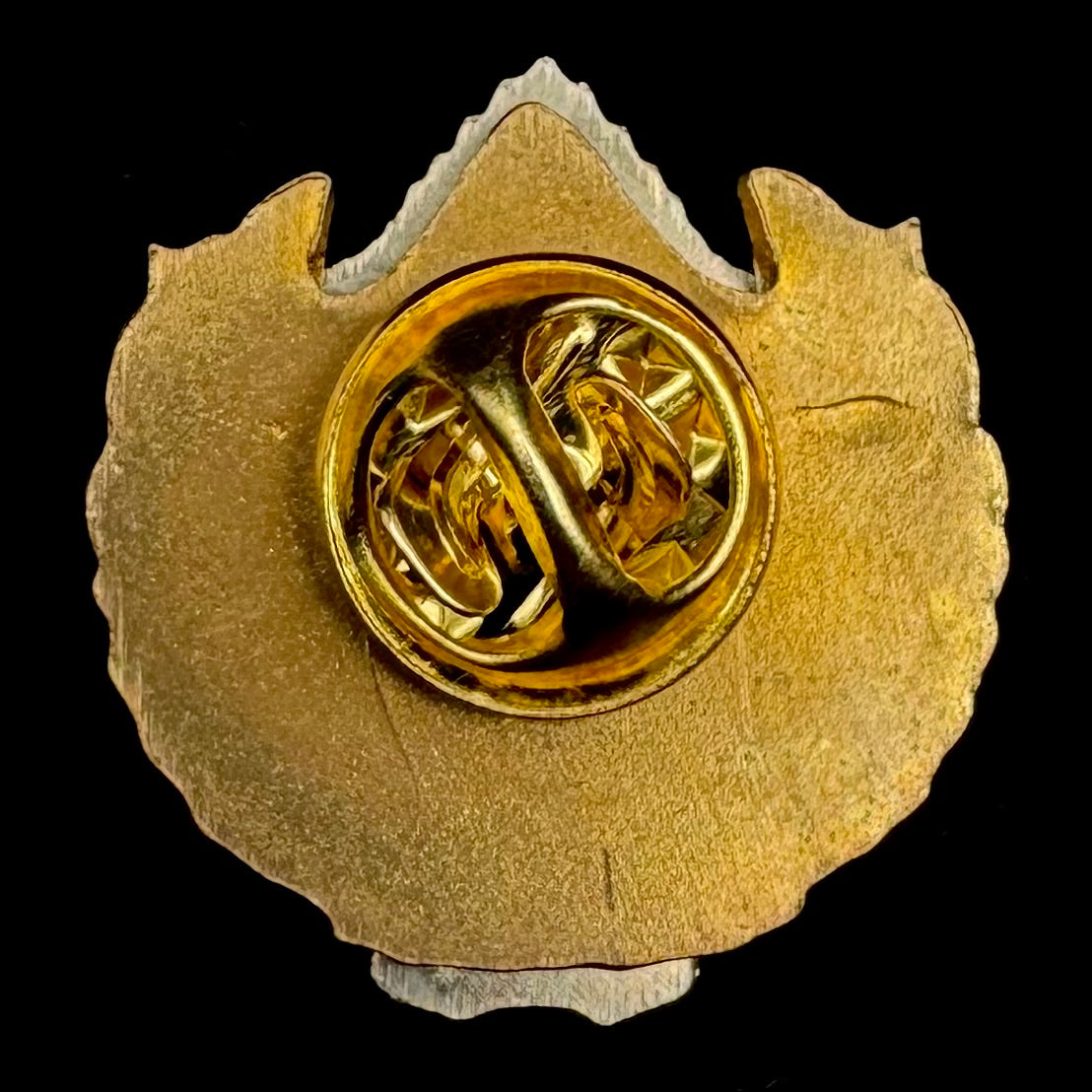 Russian SVR Foreign Intelligence Academy (AVR) “Best Teacher” Badge – Rare Original Issue