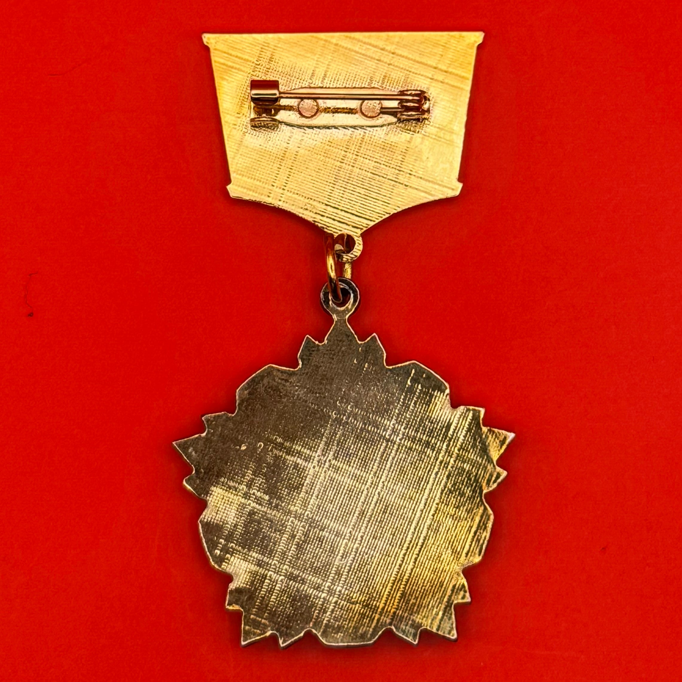 2009 Victory Of Khalkhin Gol 70th Anniversary Medal
