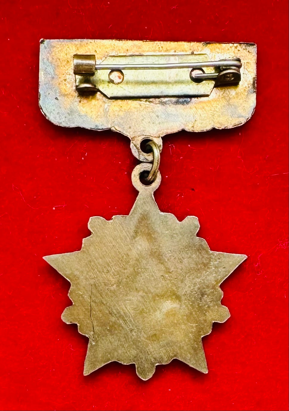 Mongolian Army Khatanbaatar's Unit Honorary Badge