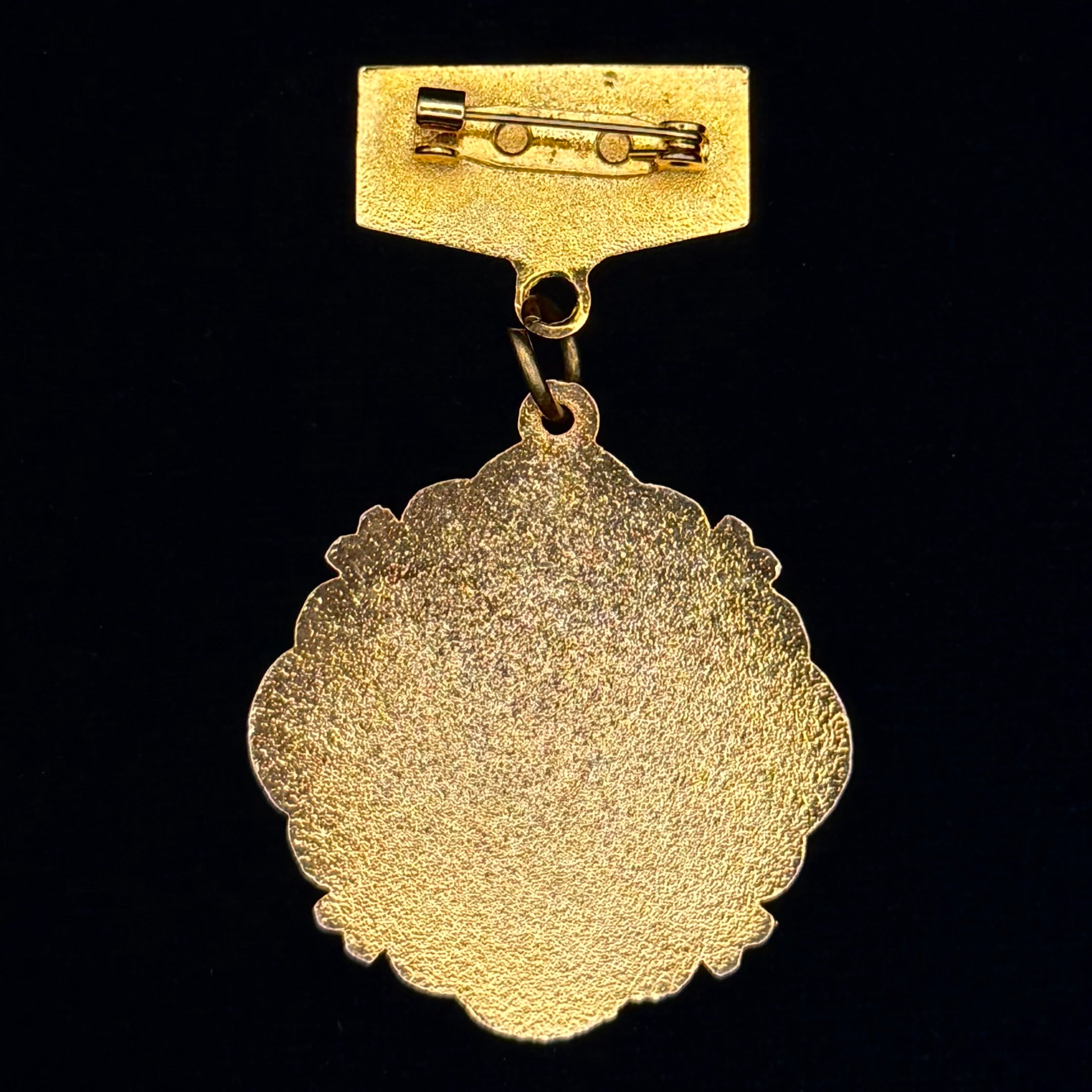 Mongolian Border Guard Song & Dance Ensemble Honorary Badge – Rare Award