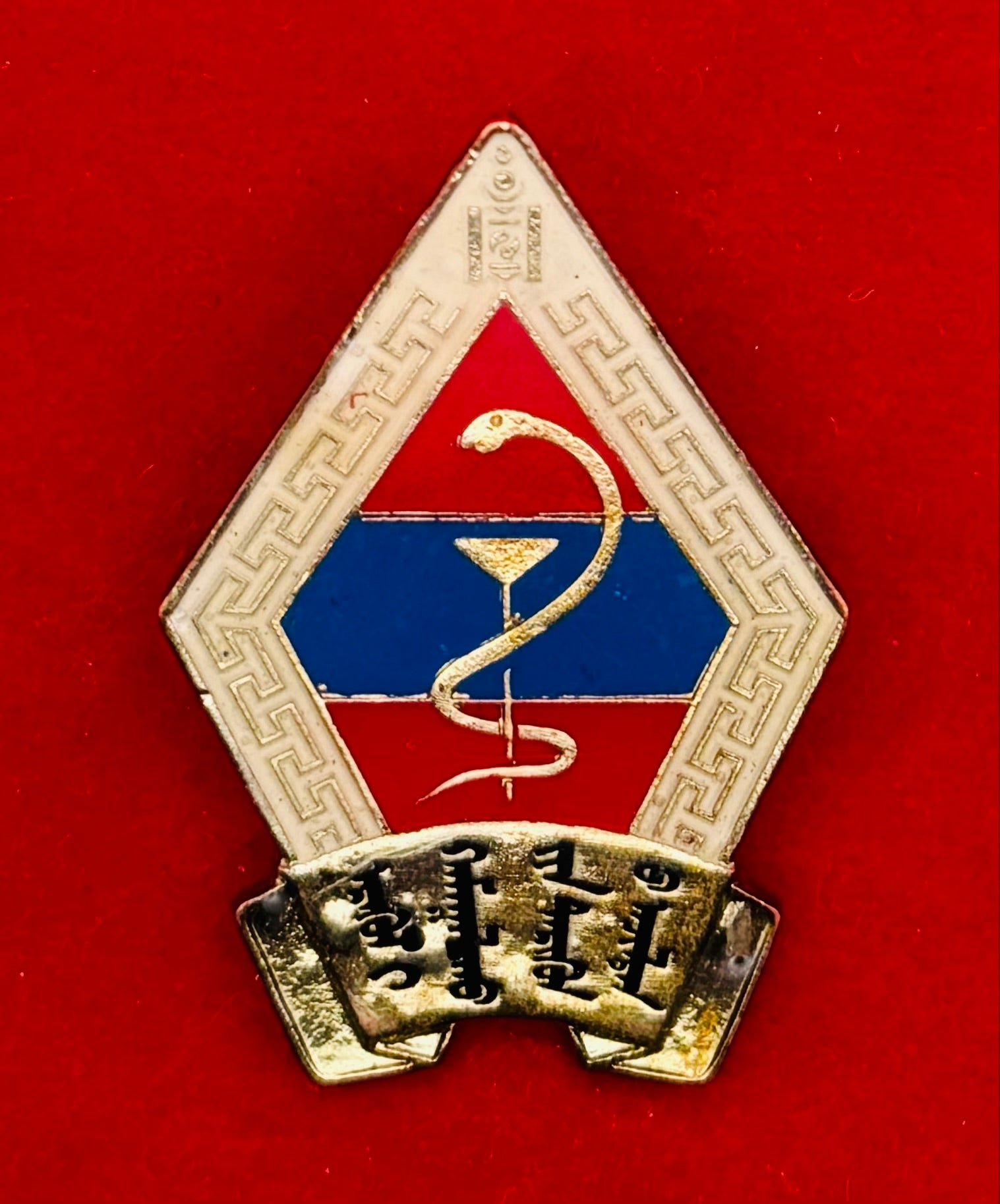 Mongolian Outstanding Healthcare Worker Badge
