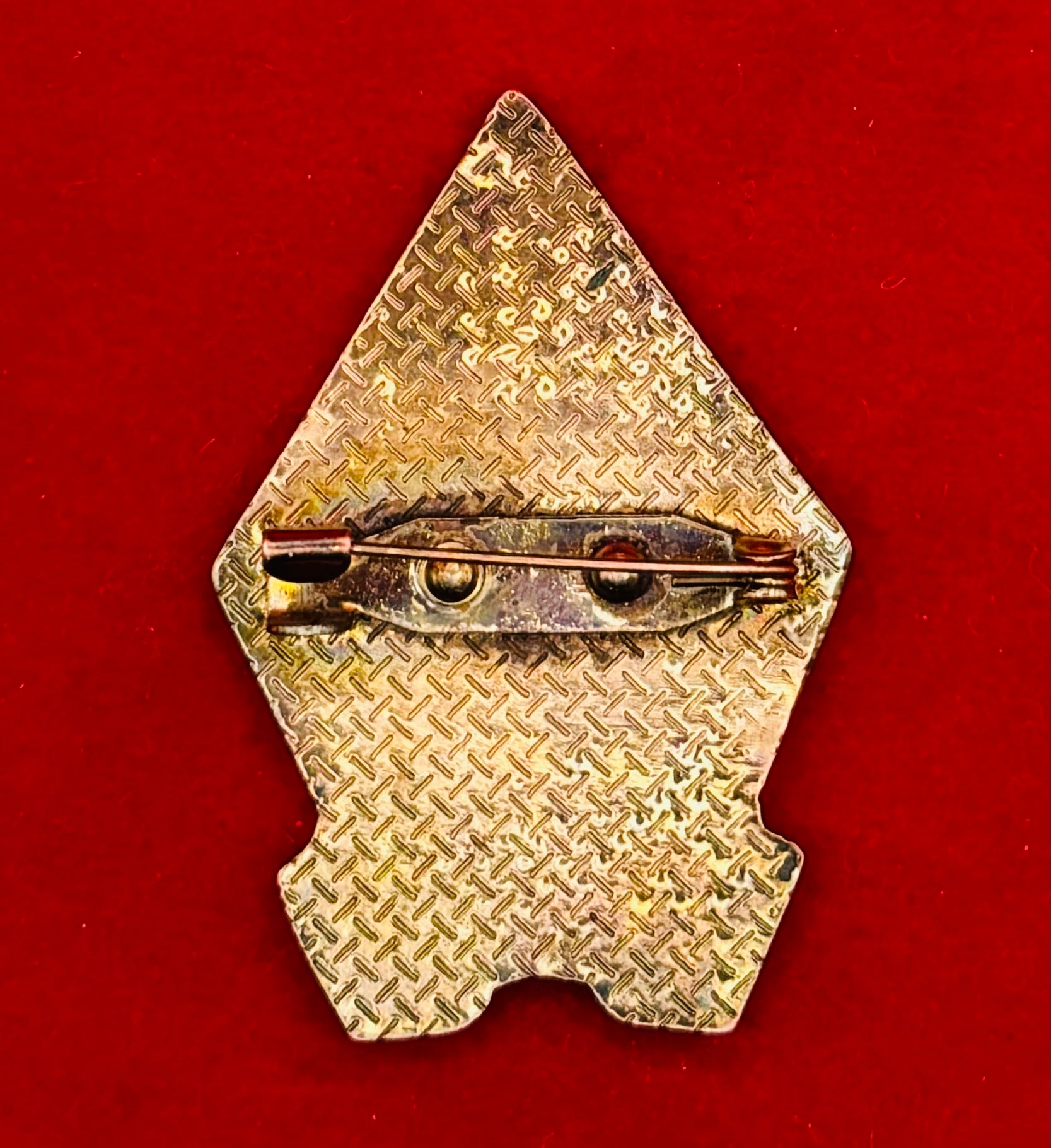 Mongolian Outstanding Healthcare Worker Badge