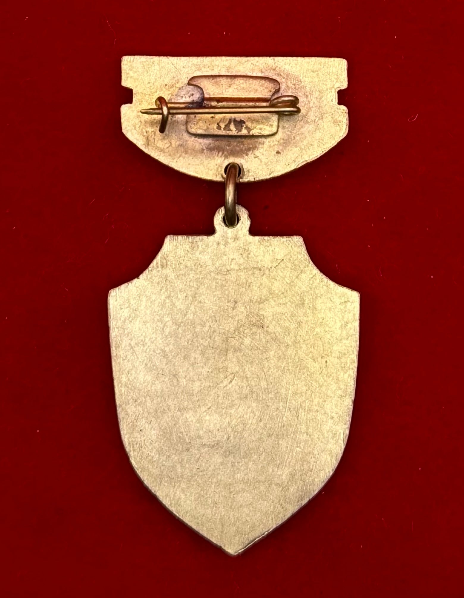 Mongolian People's Oversight Agency First Consultation Badge