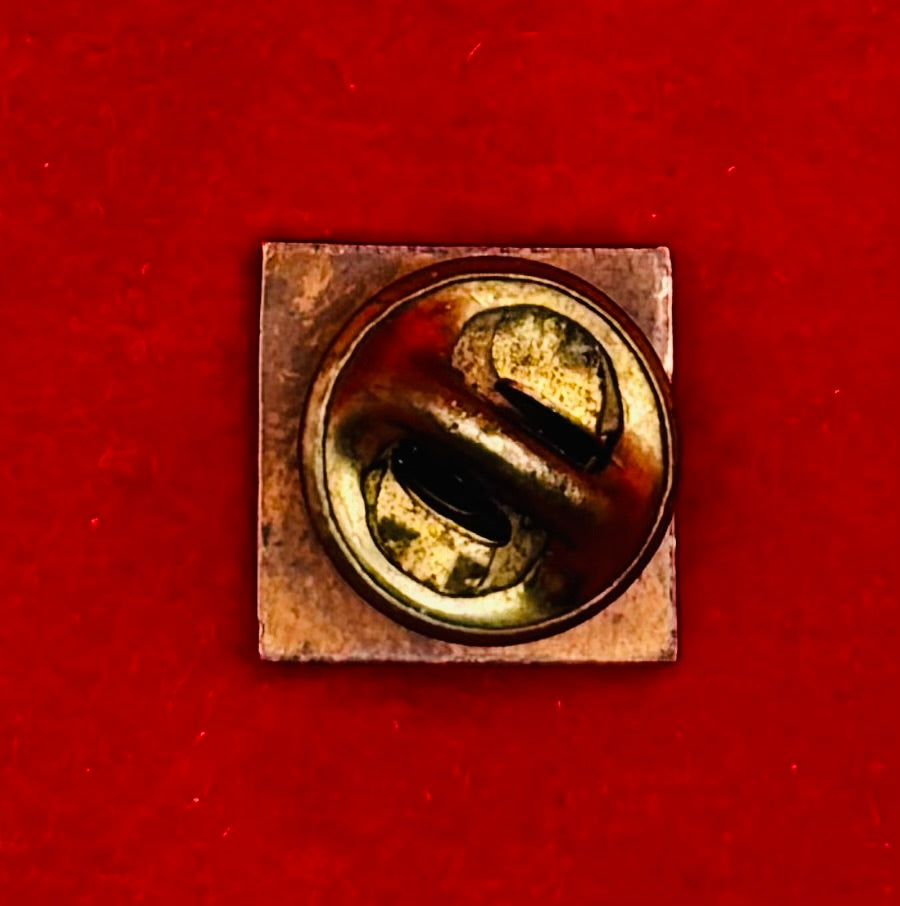 Mongolian Central Third Hospital Shastin Small Pin Badge