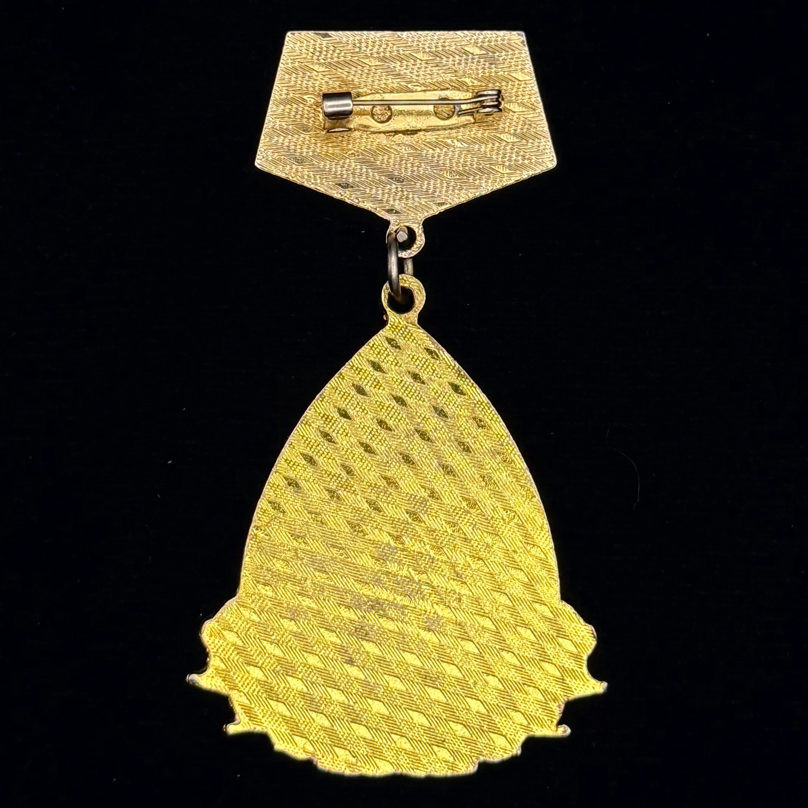 Mongolian Red Cross Society Honored Blood Donor Badge – Modern Variation