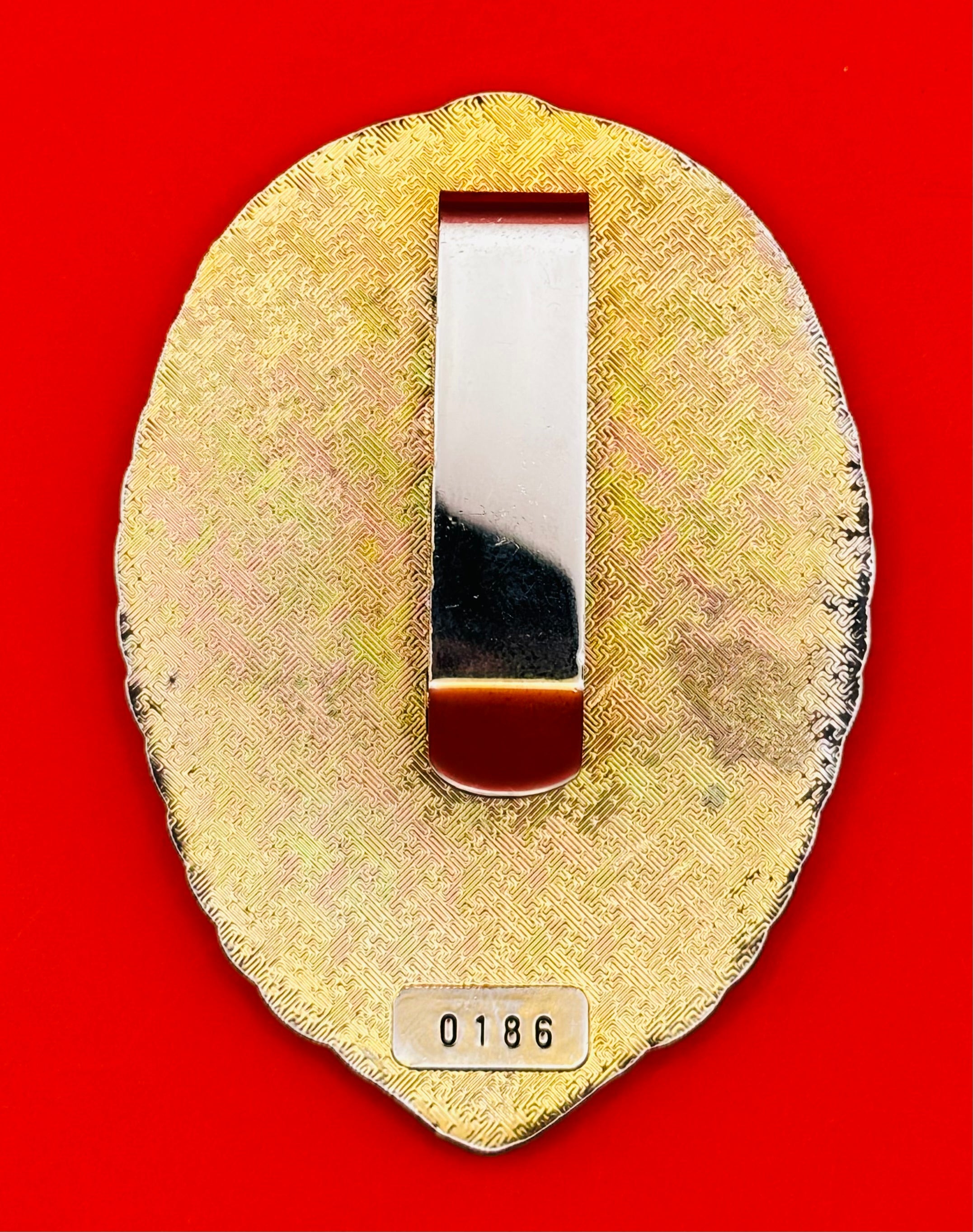 Mongolian Democratic Socialist Movement Service Badge
