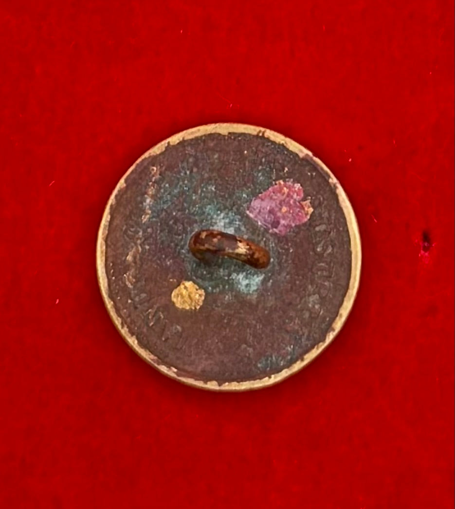 19th Century Manufactured In Austria Bird Antique Button