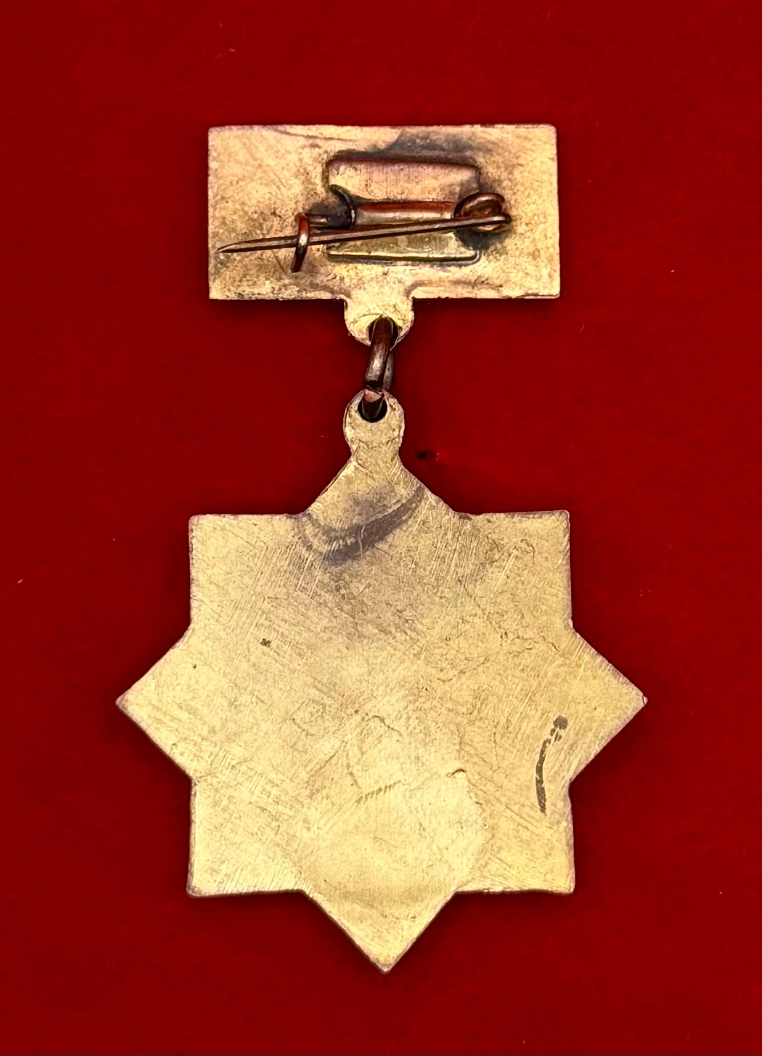 Mongolian Leading Revolutionary Badge