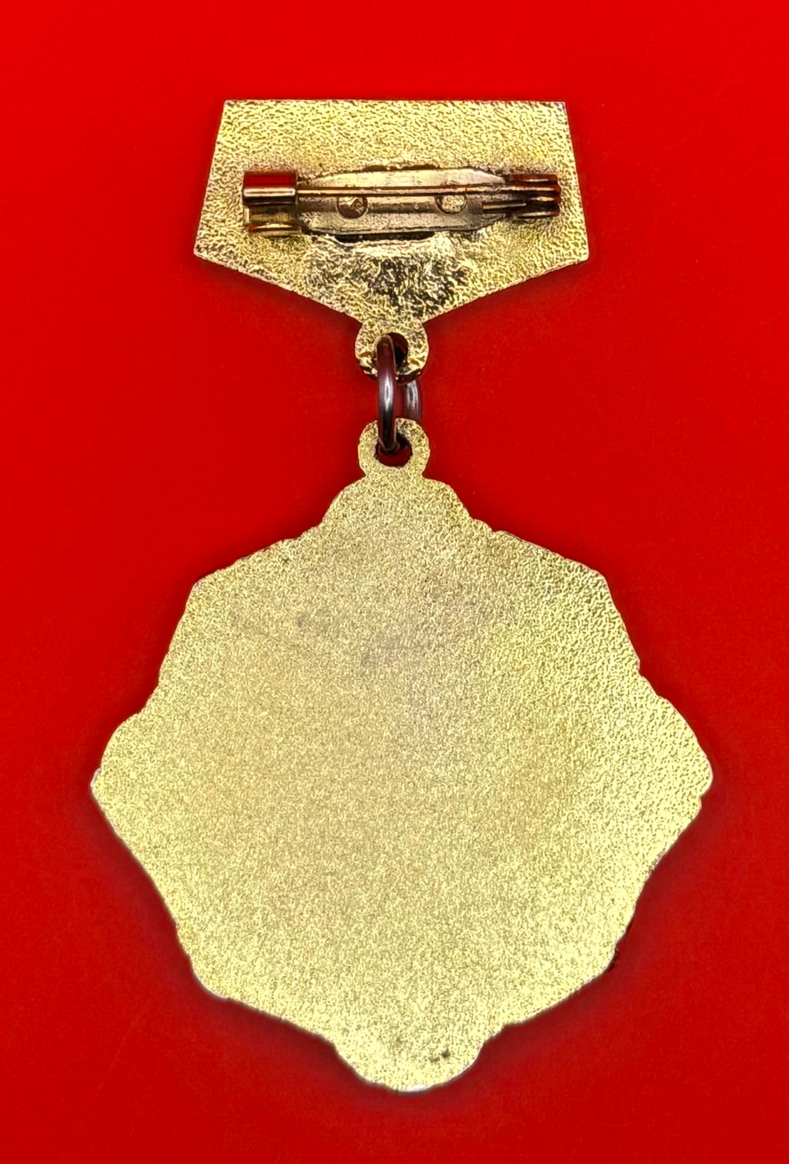 2014 Erdenet City 40th Anniversary Medal