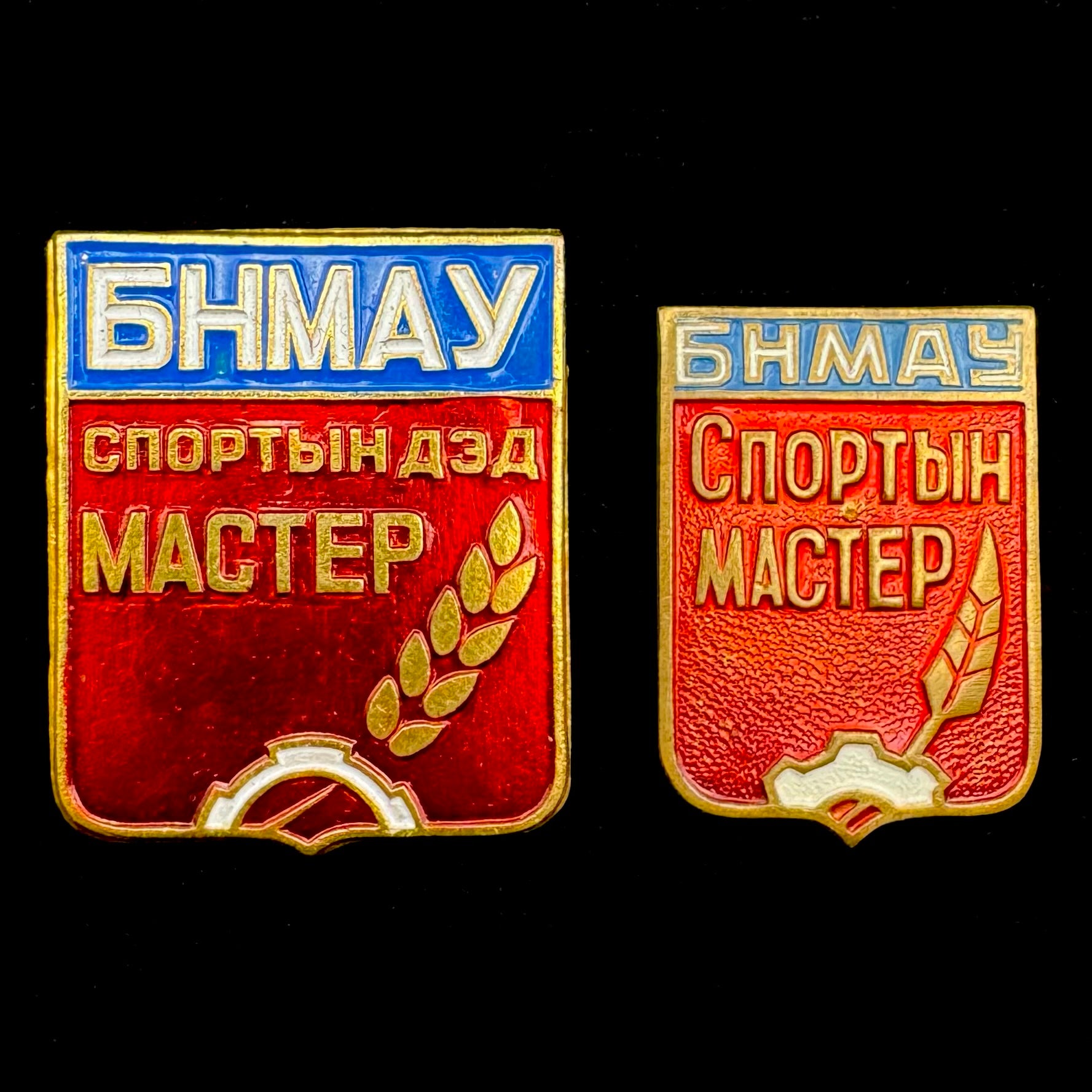 Mongolian Master Of Sports Badges – Set of 2 Variants, Socialist Era Athletes Award, Rare Official Issue
