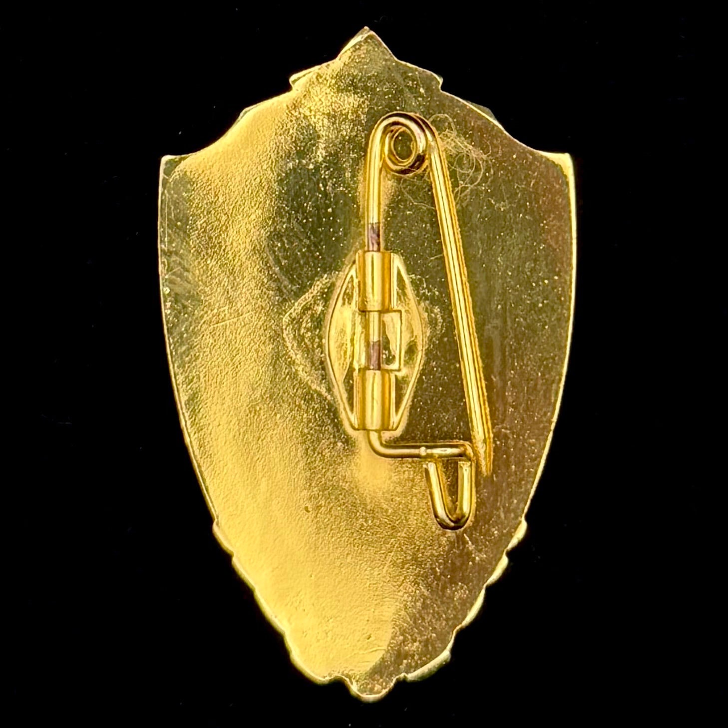 Mongolian Military Excellent Trainee Badge with Unissued Award Document – Official Modern Issue