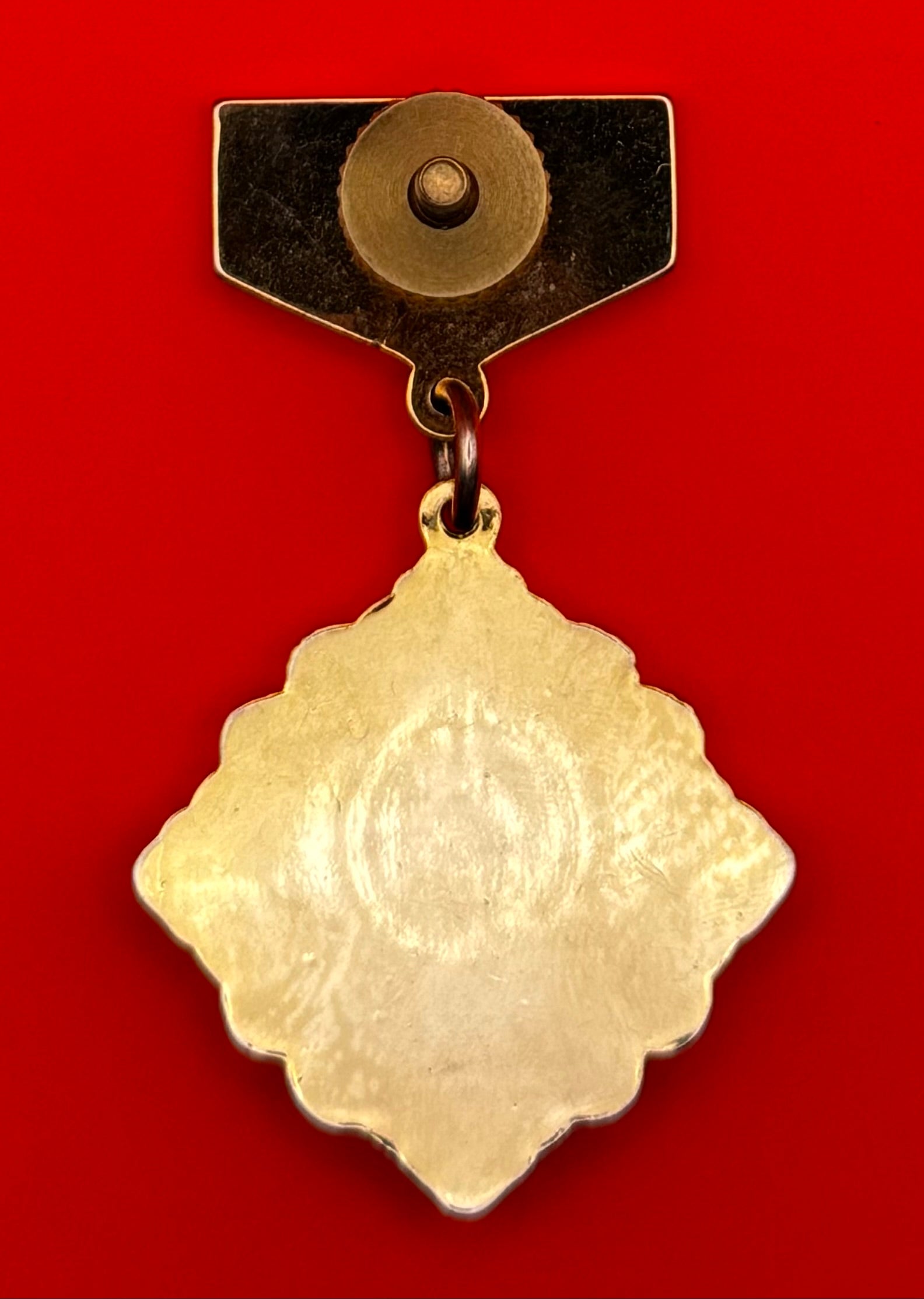 Mongolian Internal Troops Veteran Badge